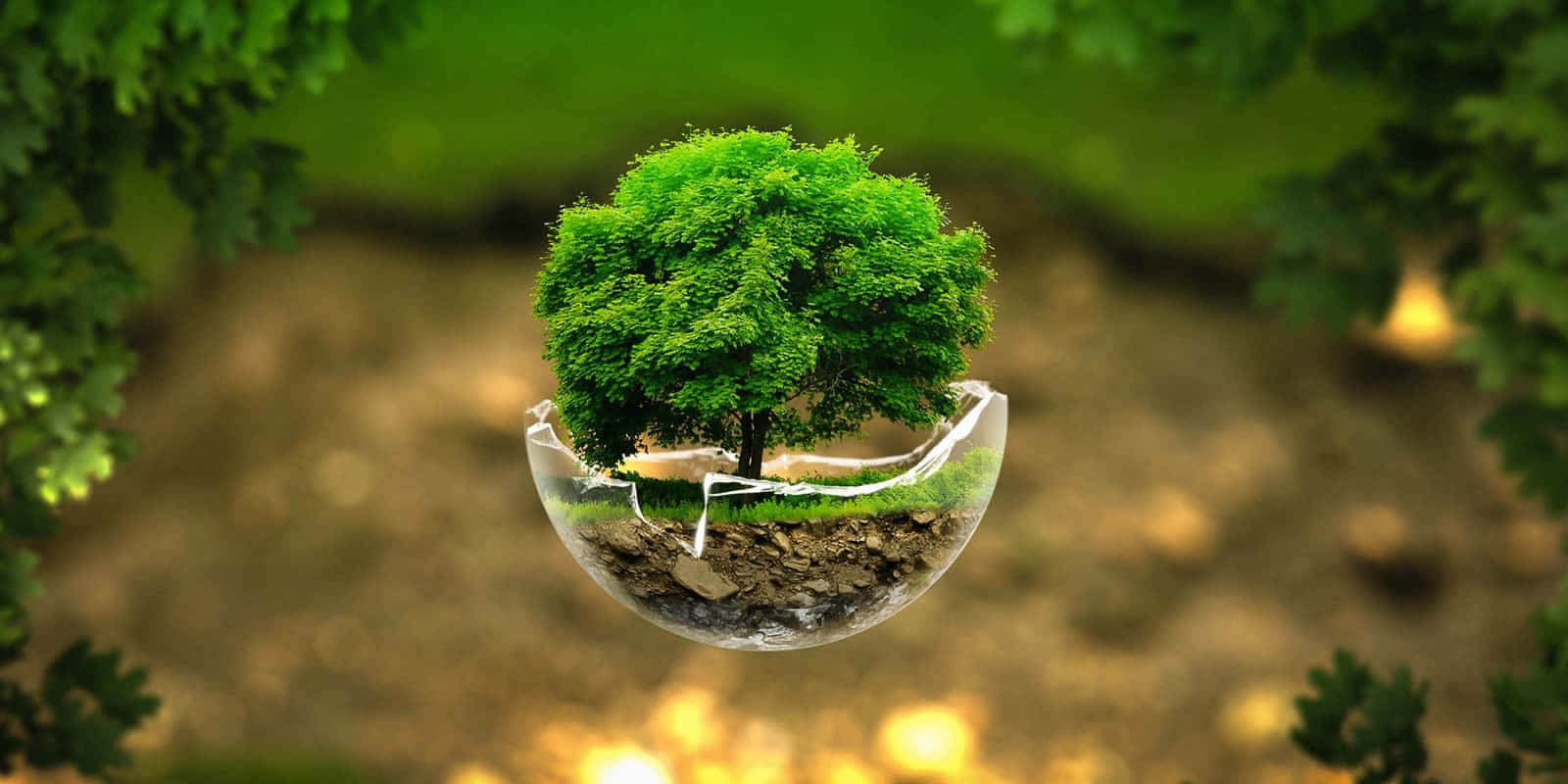 Green Technology 桌布 壁紙 — 一棵茂盛的綠色樹木生長在一個懸浮於模糊自然環境中的破裂玻璃穹頂內。