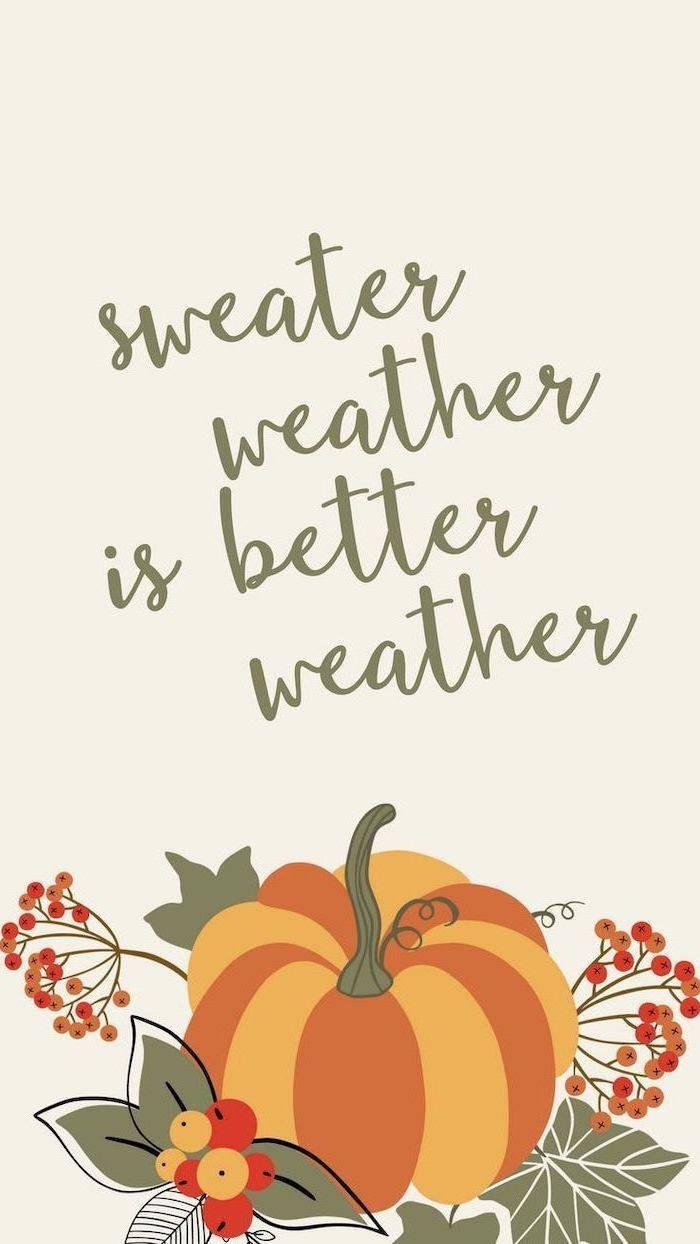 秋天 桌布 壁紙 — 一款舒適的秋季壁紙，在sweater weather is better weather字句下，有條紋南瓜和紅色漿果。