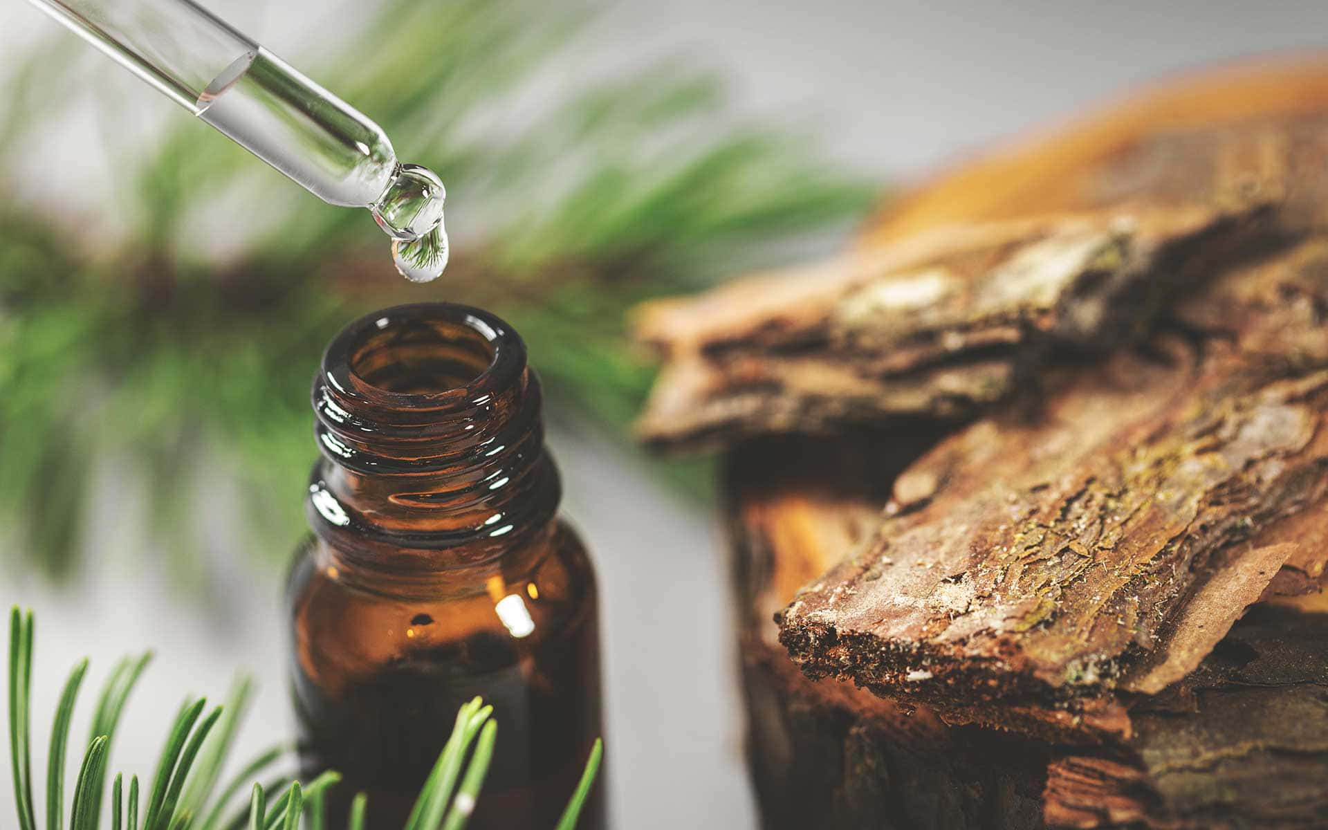 Aromatherapy 桌布 壁紙 — 一滴清澈的液體從玻璃滴管滴入琥珀色的精油瓶中，旁邊有松針和粗糙的樹皮。