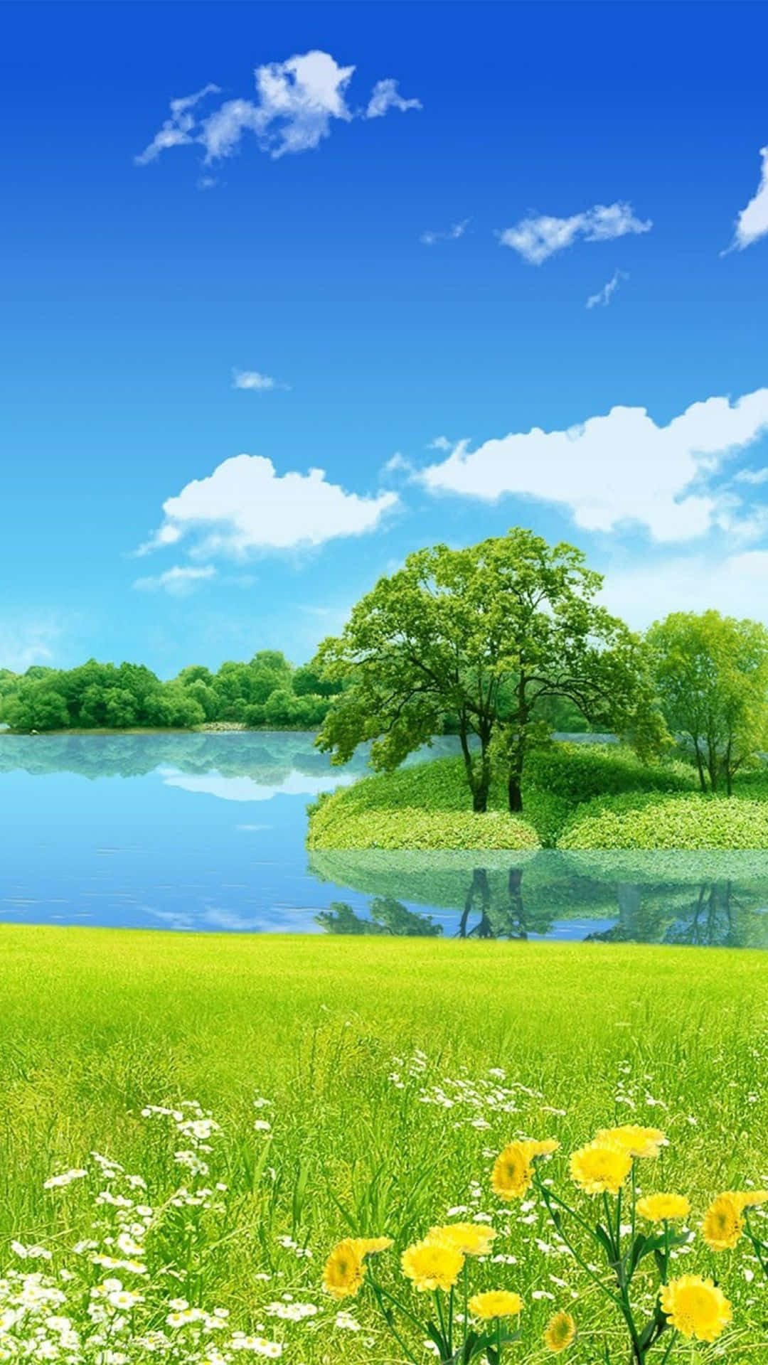 Nature Scenery 桌布 壁紙 — 一片充滿活力的夏日草地，黃色雛菊和白色花朵在平靜的湖邊盛開，天空湛藍，白雲朵朵。