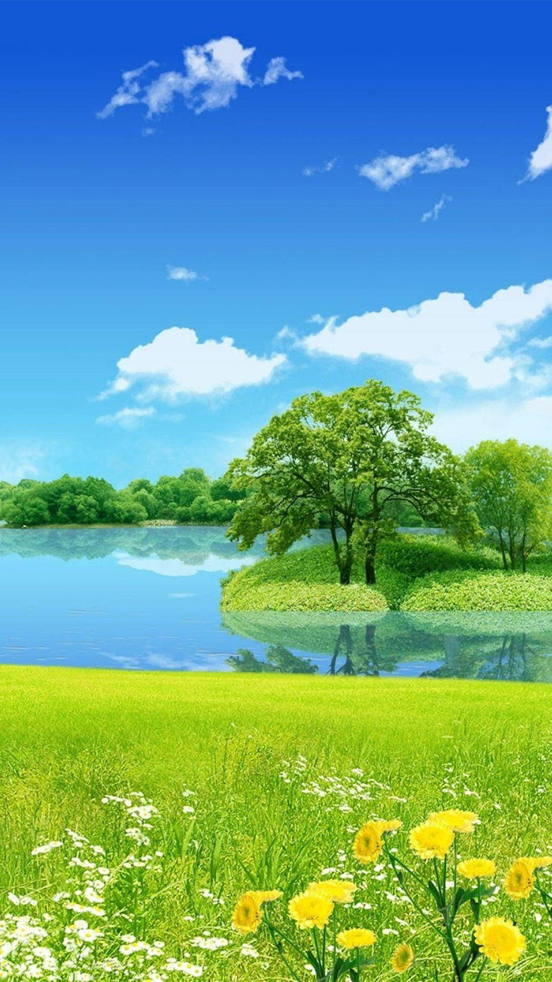 樹 桌布 壁紙 — 一片充滿活力的夏日草地，黃色雛菊和白色花朵盛開，在平靜的湖面前，湖面映照著綠色島嶼上的一棵孤樹，背景是明亮的藍天和蓬鬆的白雲。
