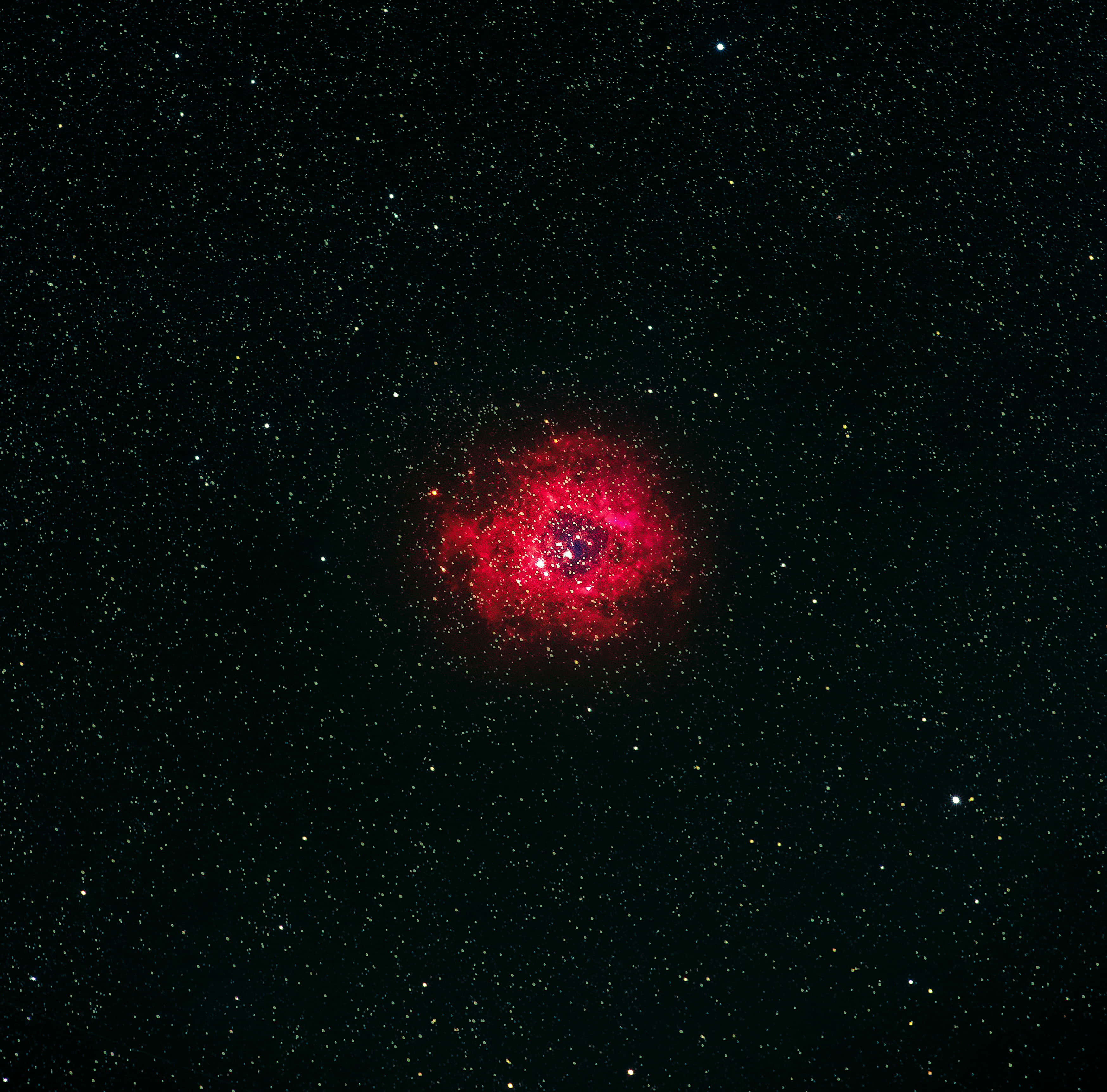 Red Space 桌布 壁紙 — 一片充滿活力的紅色星雲在深空的星場中強烈發光。