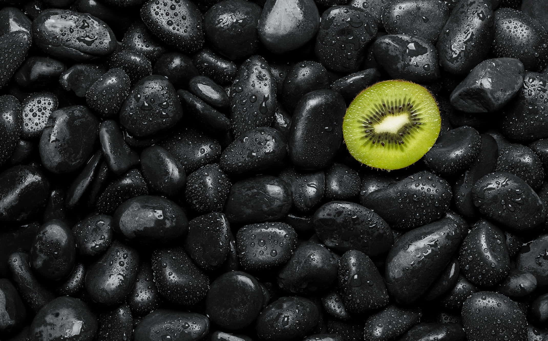 Kiwi 桌布 壁紙 — 一片充滿活力的綠色奇異果切片放在一層光滑的黑色濕鵝卵石上，形成鮮明的色彩對比。