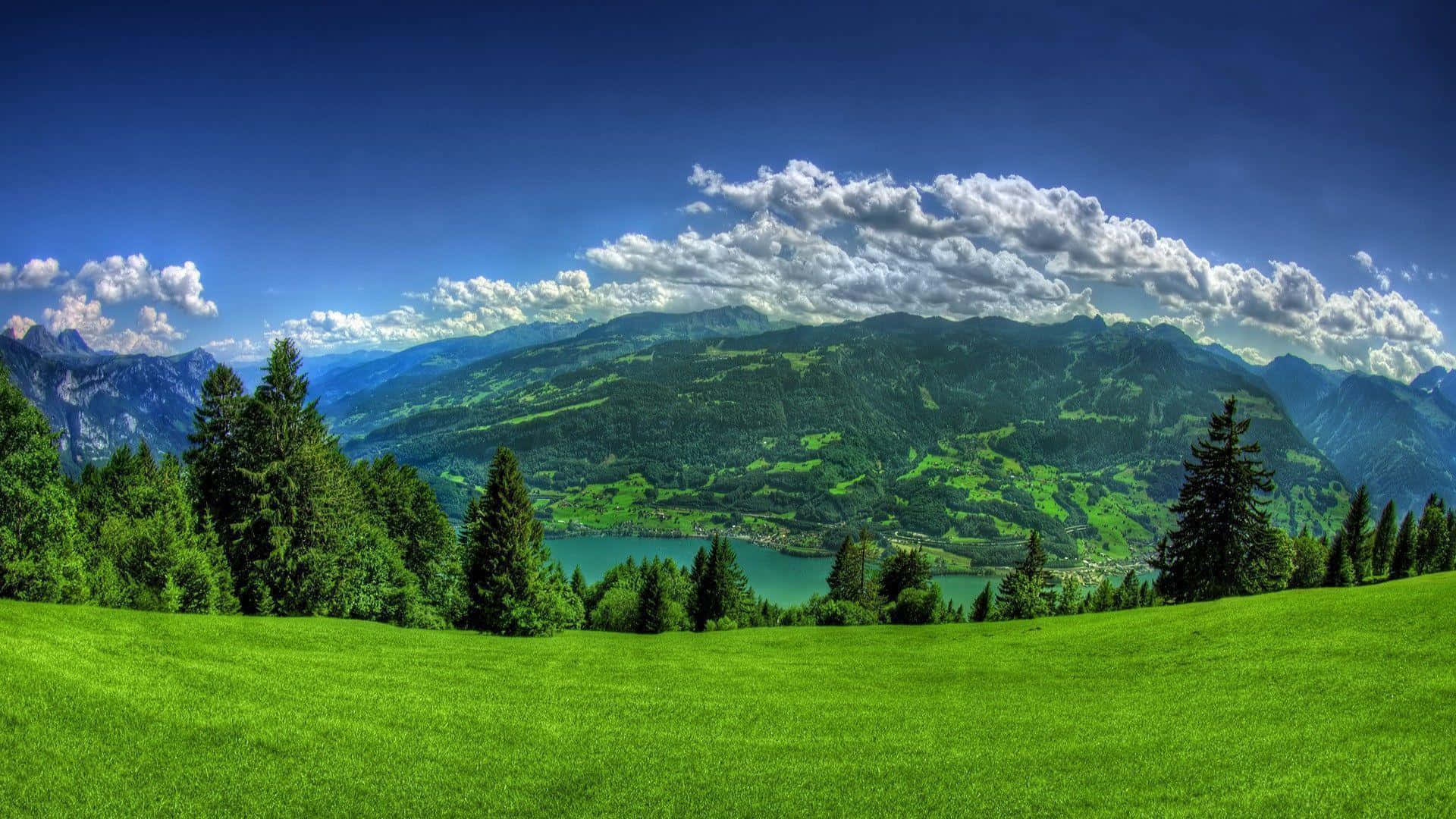 Cool Nature 桌布 壁紙 — 一片充滿活力的綠色草地向下傾斜，延伸到一個寧靜的湖泊，湖泊坐落在高聳的森林覆蓋的山脈之間，上方是明亮的藍天和蓬鬆的白雲。