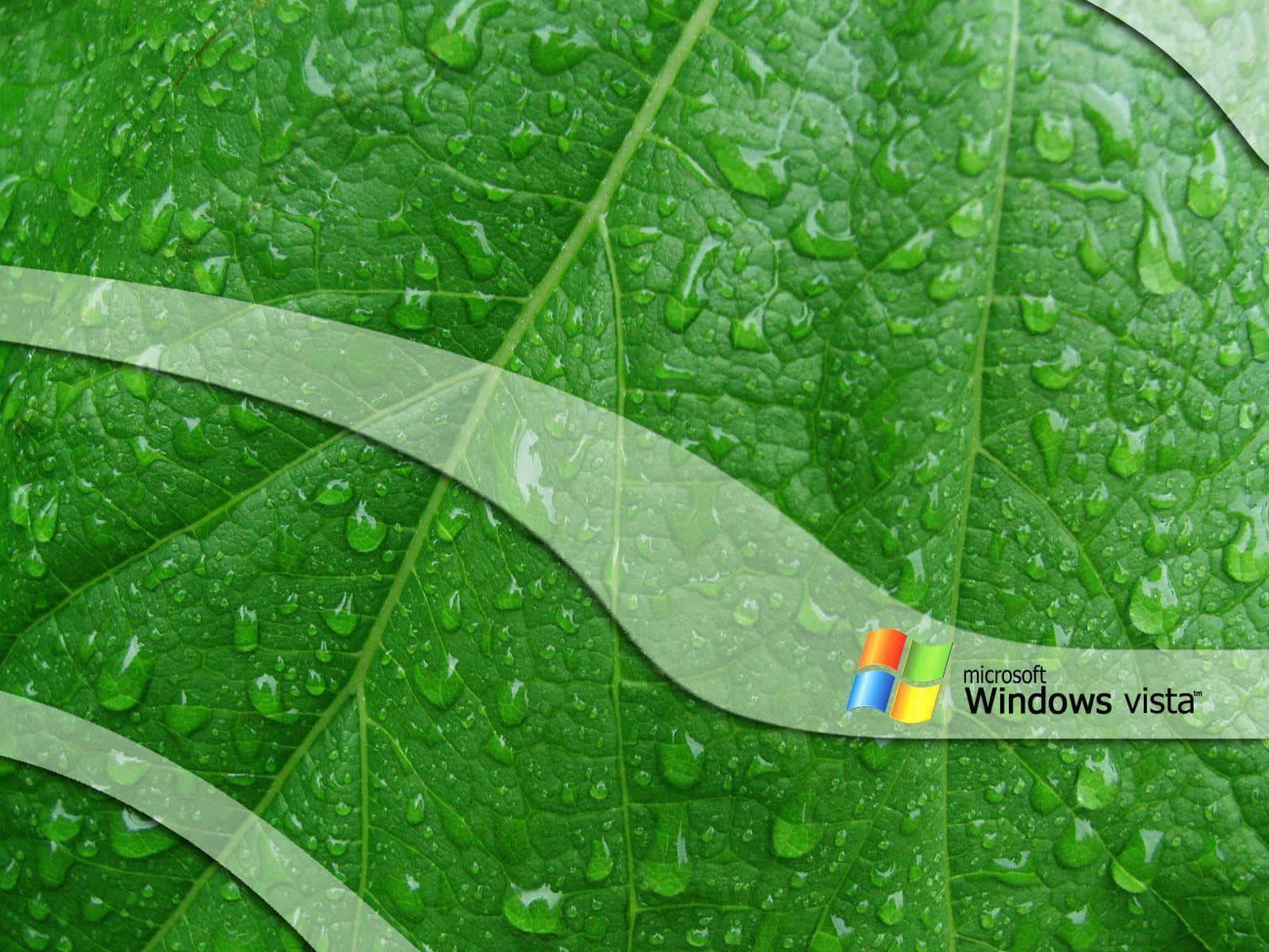 Windows Vista 桌布 壁紙 — 一片充滿活力的綠色葉子特寫，閃爍著露珠，並帶有半透明的Windows Vista標誌疊加層。
