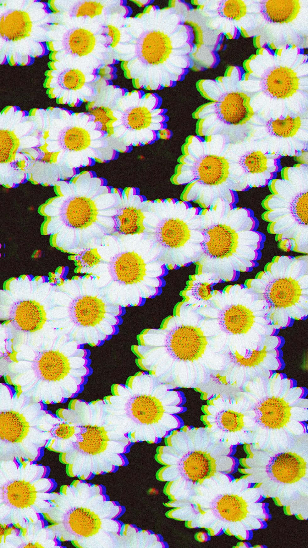 花手機 桌布 壁紙 — 一片充滿活力的雛菊田，在深色背景上帶有故障色差效果。