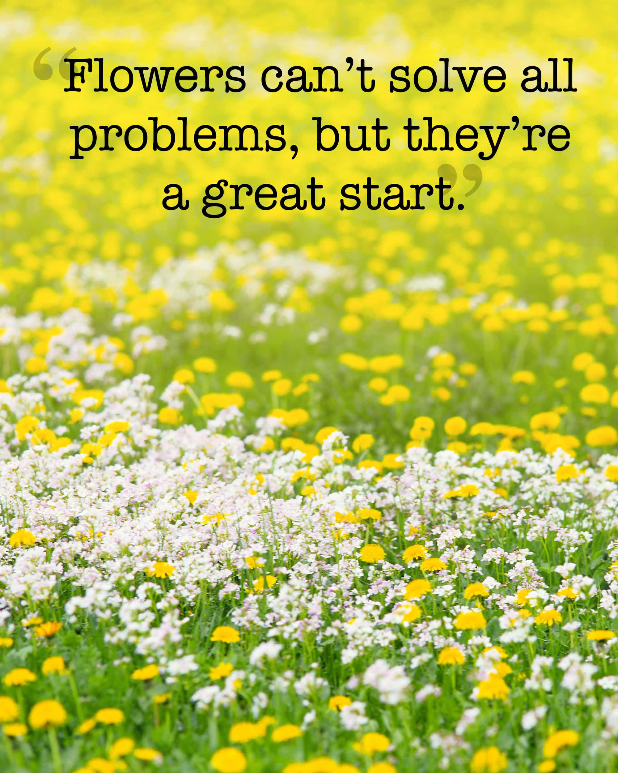 Spring Quotes 桌布 壁紙 — 一片充滿活力的黃白野花田在明亮的陽光下輕輕搖曳，並疊加了一句鼓舞人心的語錄。