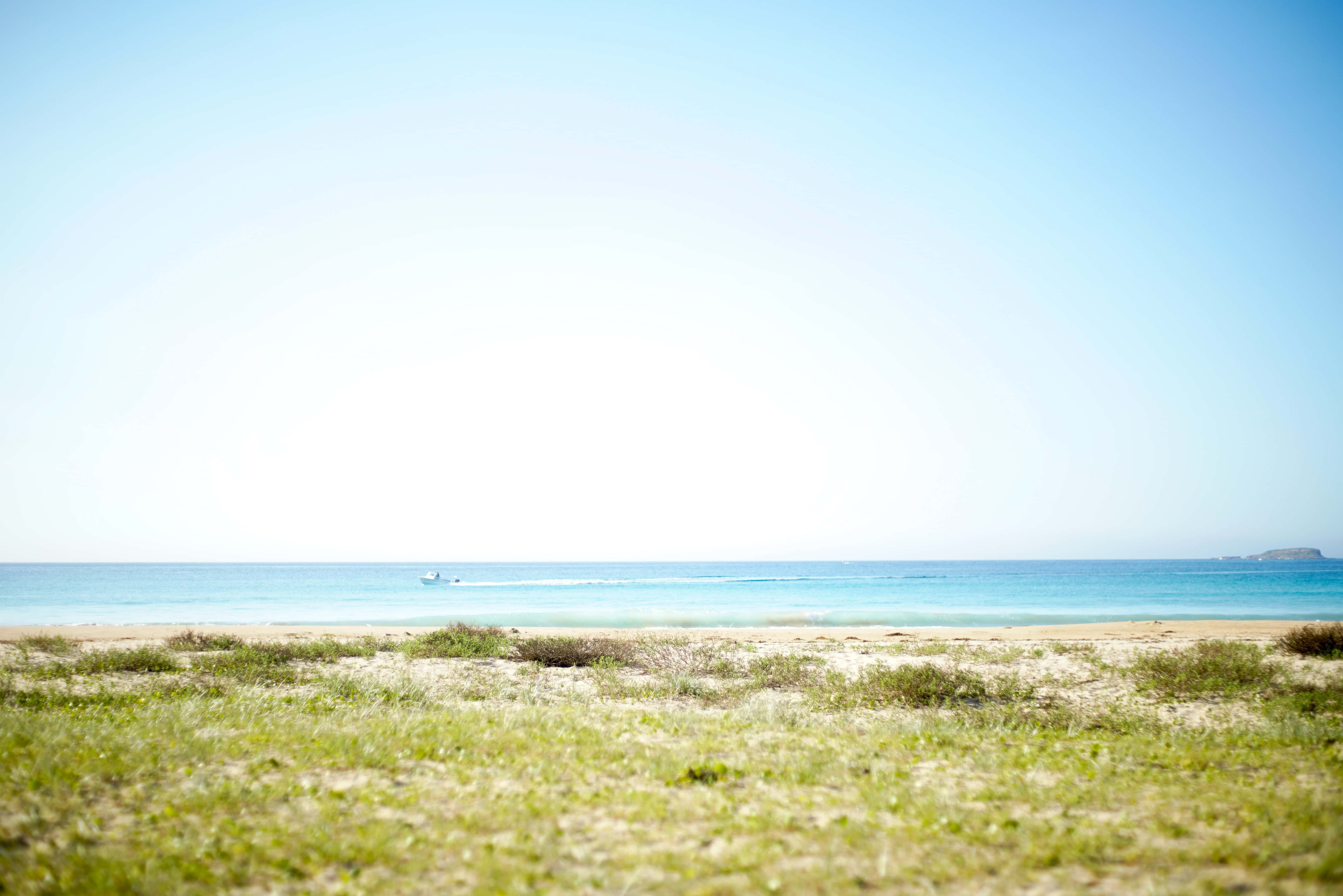 Summer Landscape 桌布 壁紙 — 一片寧靜的海灘景色，碧綠的海水在清澈的藍天下延伸至遠方地平線。