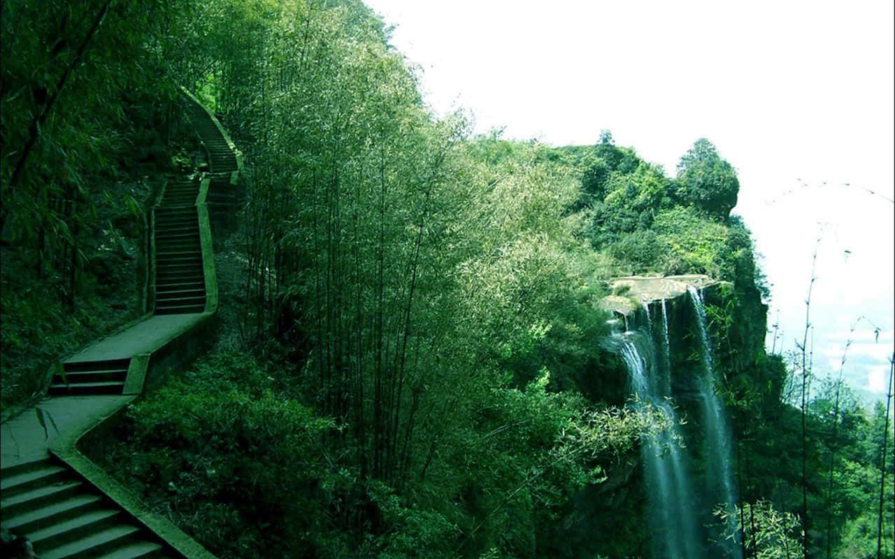 一片寧靜的竹林景觀 壁紙 — 一條蜿蜒的石階穿過茂密的竹林，通往陽光普照的懸崖邊上的瀑布。