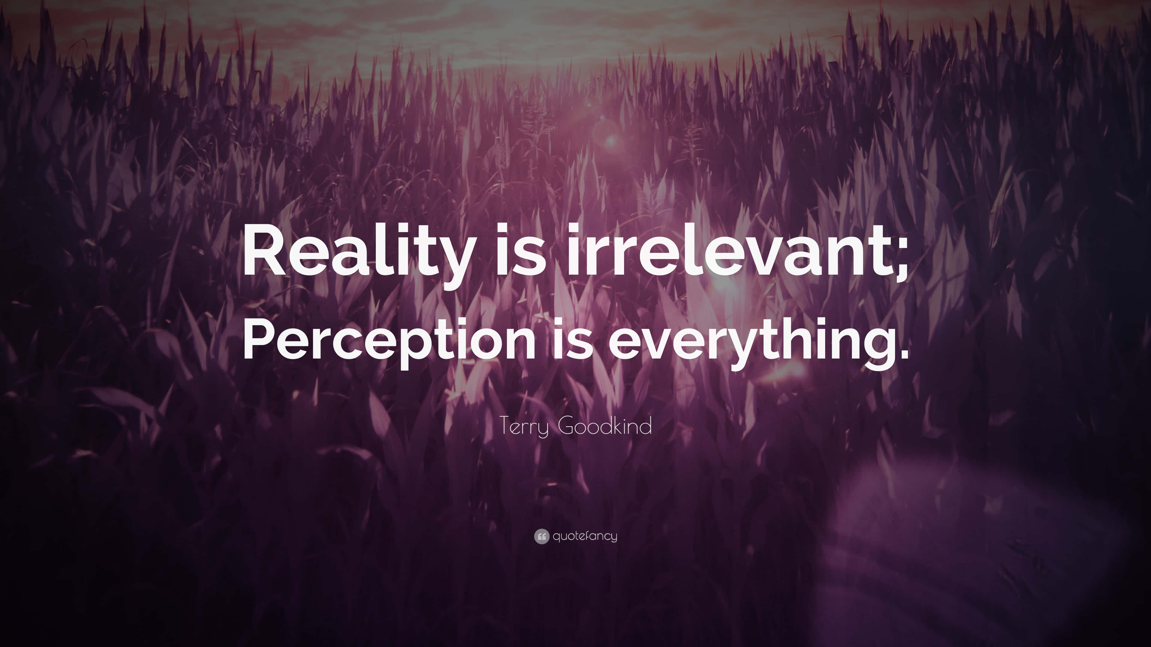 Perception 桌布 壁紙 — 一片帶有紫色色調的高草田野，上面覆蓋著一句在暮色天空中柔和發光的引言。