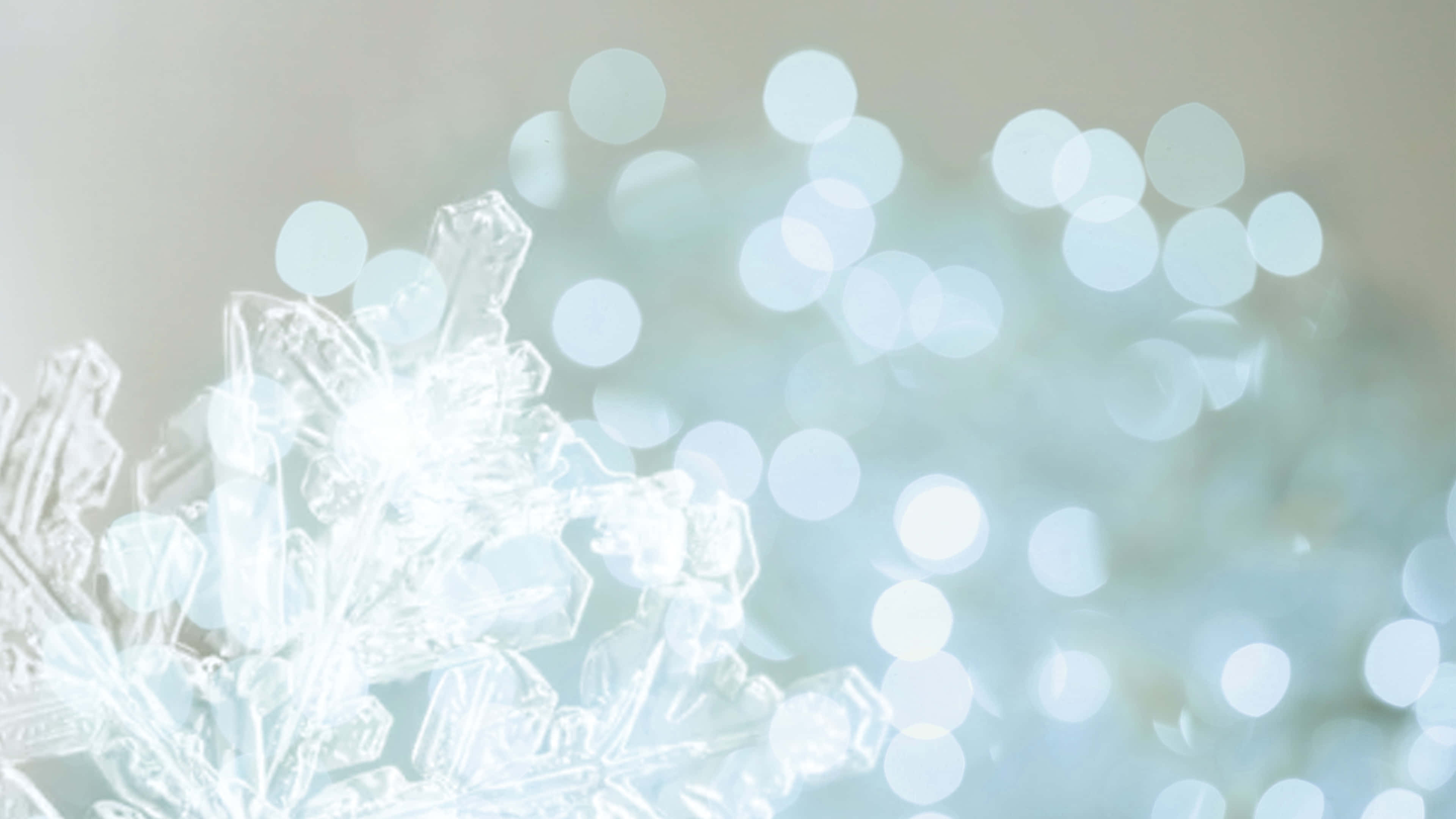 聖誕節 桌布 壁紙 — 一片精緻的雪花在柔和的散景藍光背景下閃爍，焦點清晰銳利。