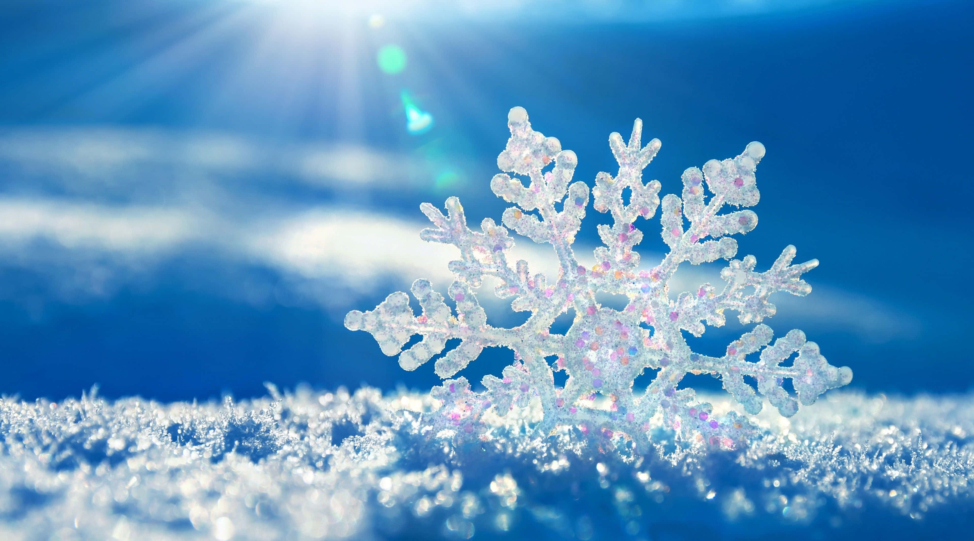 Winter Blues 桌布 壁紙 — 一片精緻的雪花在陽光普照、藍天射線下的雪地上閃閃發光。