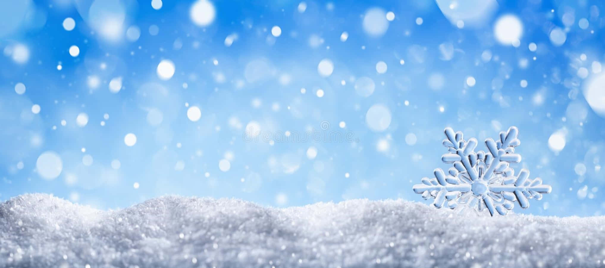Banner 桌布 壁紙 — 一片精緻的雪花落在有紋理的雪堆上，背景是柔和的藍天，飄落著雪花和散景燈光。
