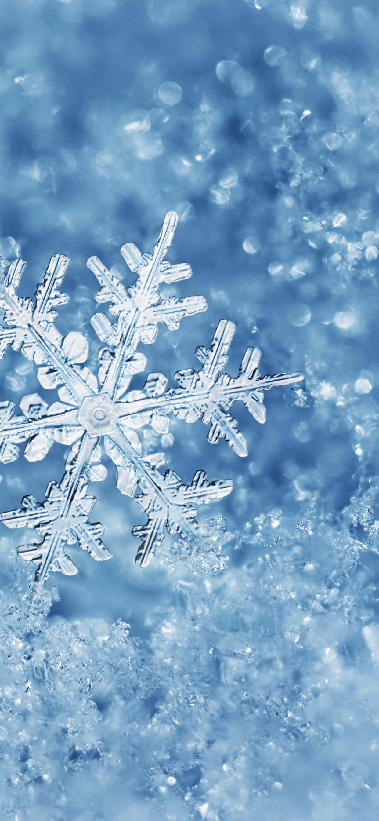 Retina Display 桌布 壁紙 — 一片精緻的雪花靜靜地躺在霜床上，襯托著柔和的藍色散景背景。