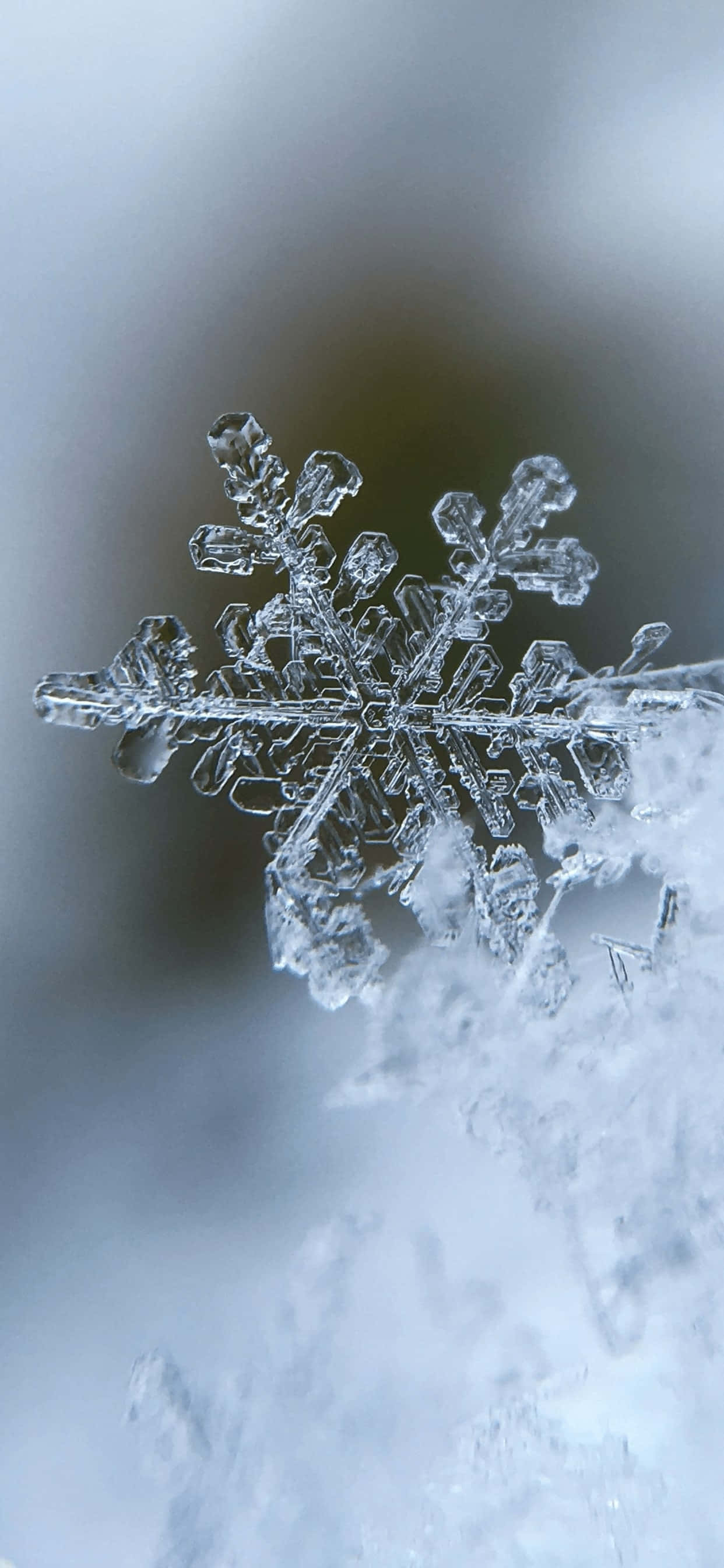 Cute Winter Aesthetic 桌布 壁紙 — 一片精緻複雜的雪花，帶有細膩的晶體臂，輕輕落在柔軟的雪地上，背景是模糊的冬日景色。