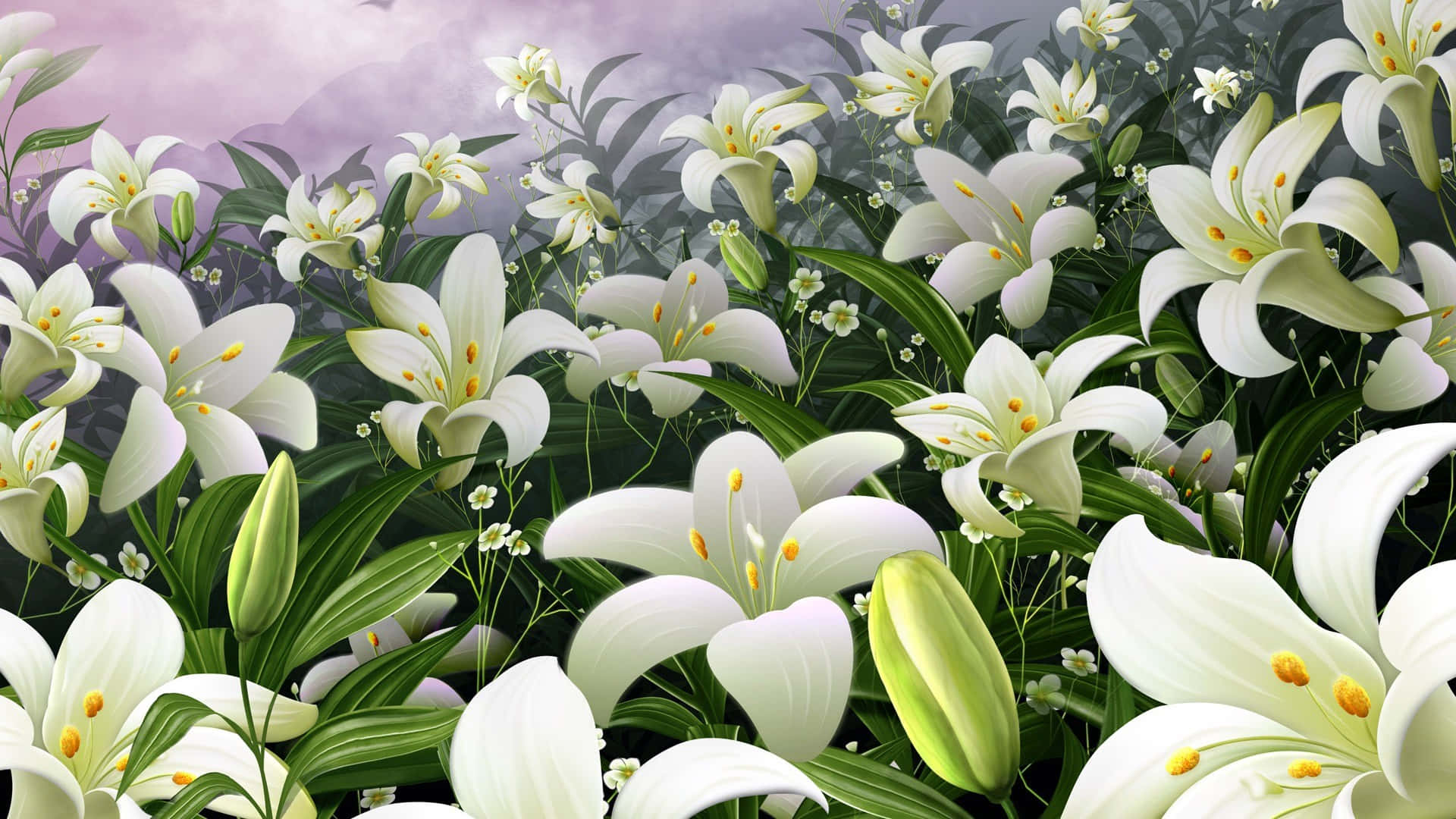 lily 桌布 壁紙 — 一片茂盛的白色百合花田，帶有黃色花心，在柔和的紫色天空下盛開，周圍環繞著深綠色的葉子和花蕾。