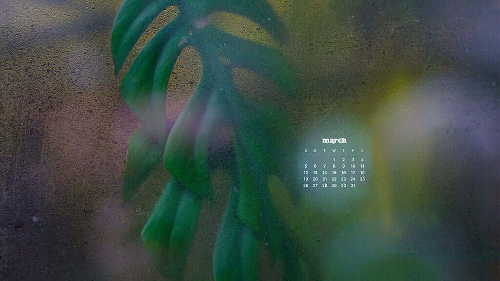 March Desktop 桌布 壁紙 — 一片茂盛的綠色龜背竹葉，在紋理夢幻的背景上帶有微妙的日曆疊加。