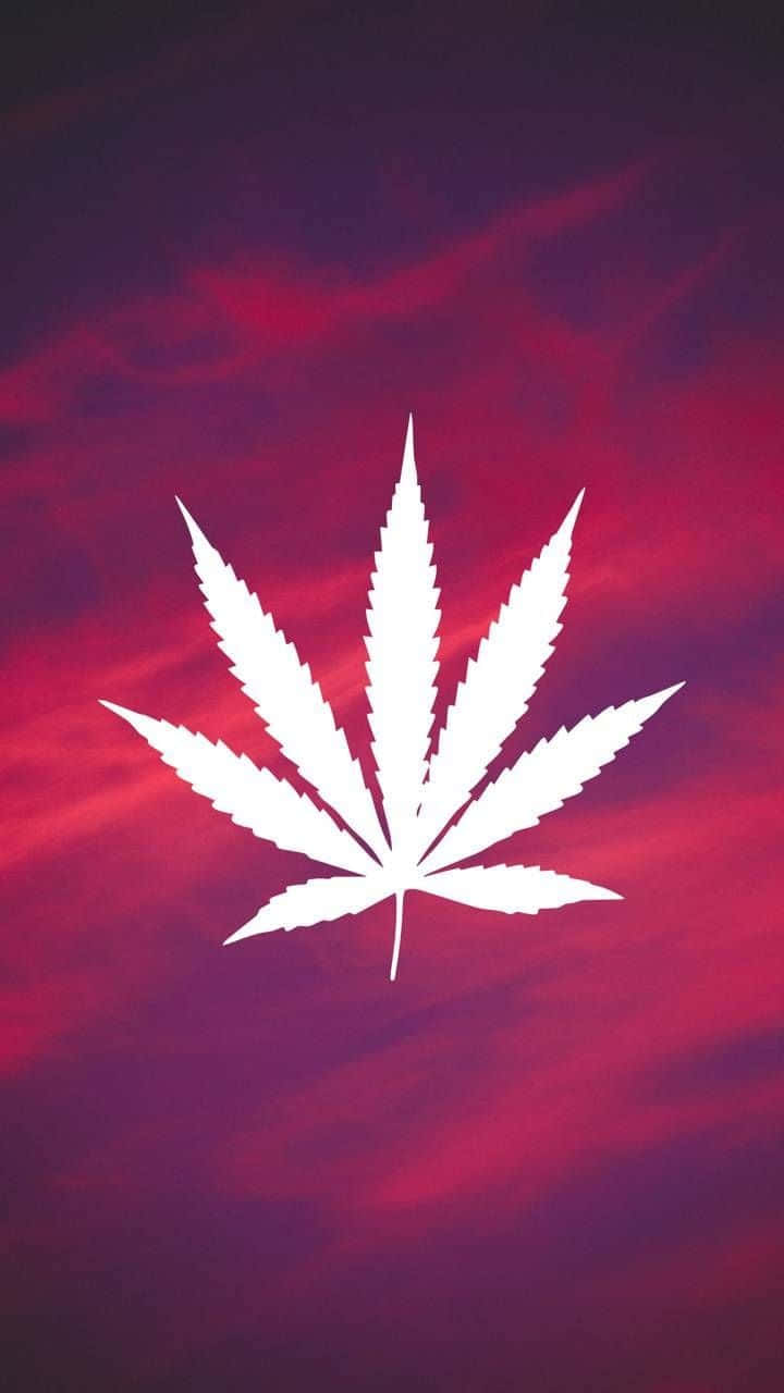 Weed Leaf 桌布 壁紙 — 一片鮮明的白色大麻葉剪影漂浮在戲劇性的紅紫色暮色天空中。