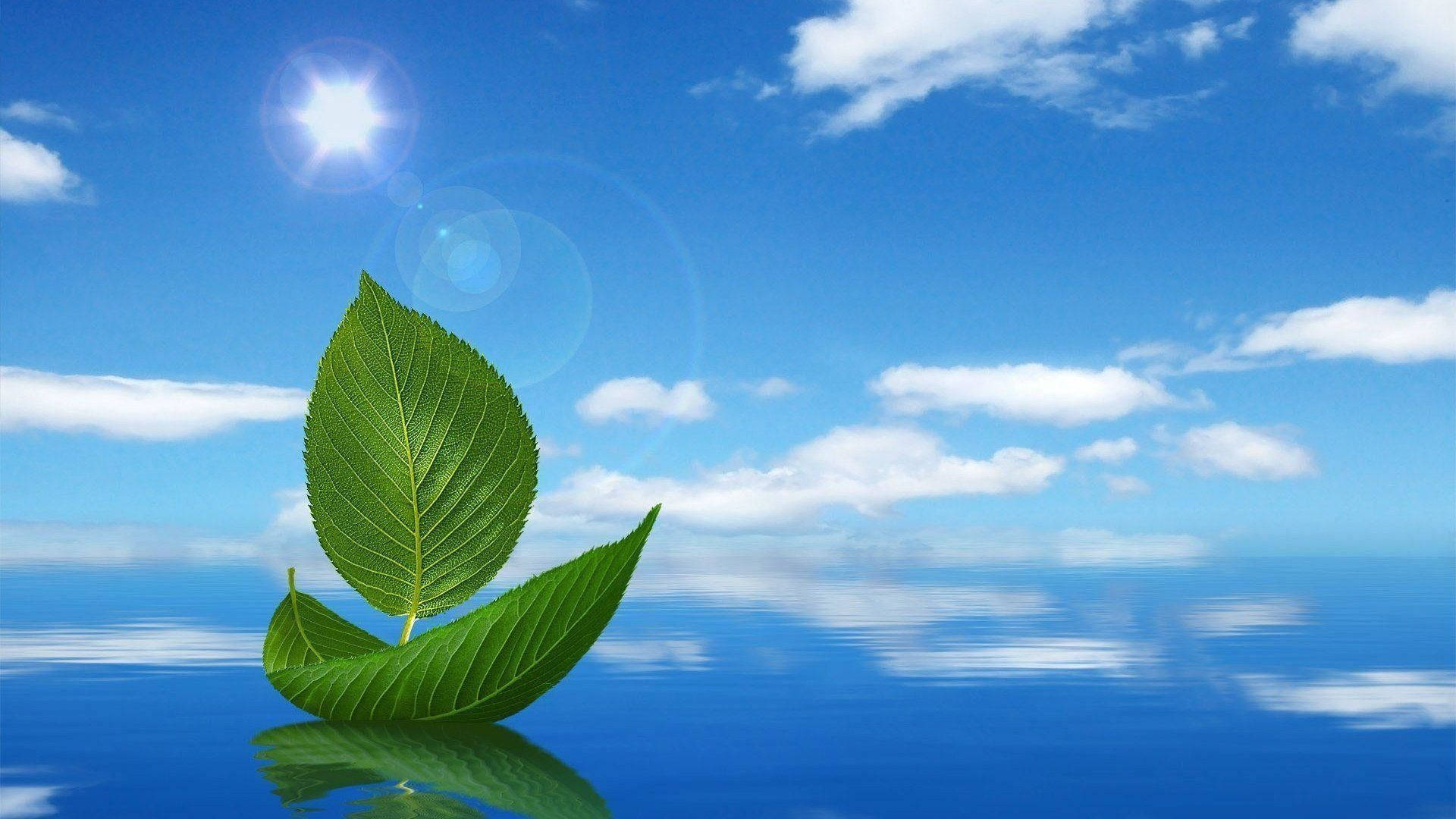 樹葉 桌布 壁紙 — 一片鮮綠的葉子靜靜地漂浮在平靜的藍色水面上，天空晴朗，有蓬鬆的白雲。