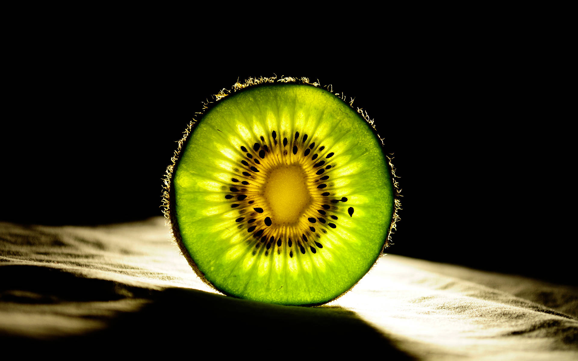 Kiwi Slice Back Light 壁紙 — 一片鮮豔的奇異果在黑色背景的戲劇性聚光燈下閃閃發光。