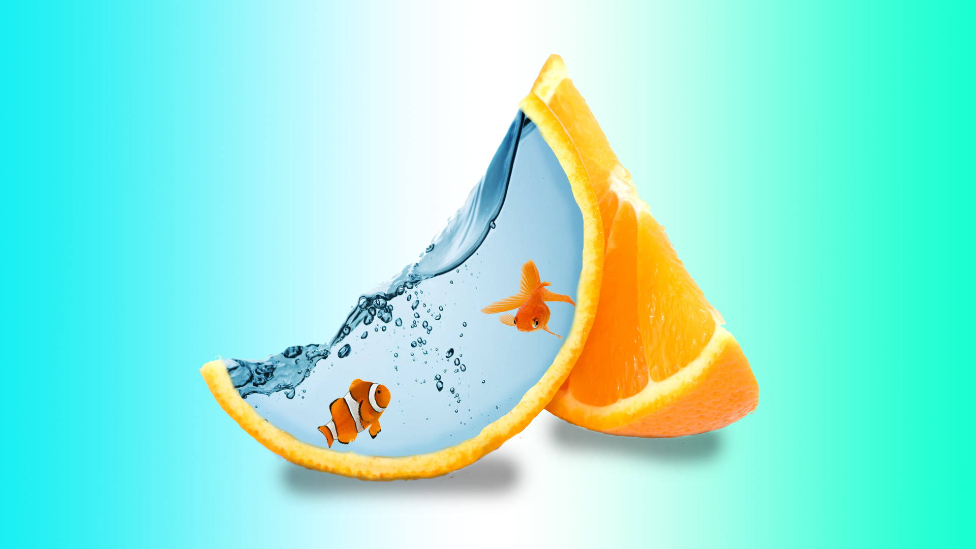 魚 桌布 壁紙 — 一片鮮豔的橙片盛載著清澈的水，內有兩條小魚游動，背景是漸變的藍綠色。