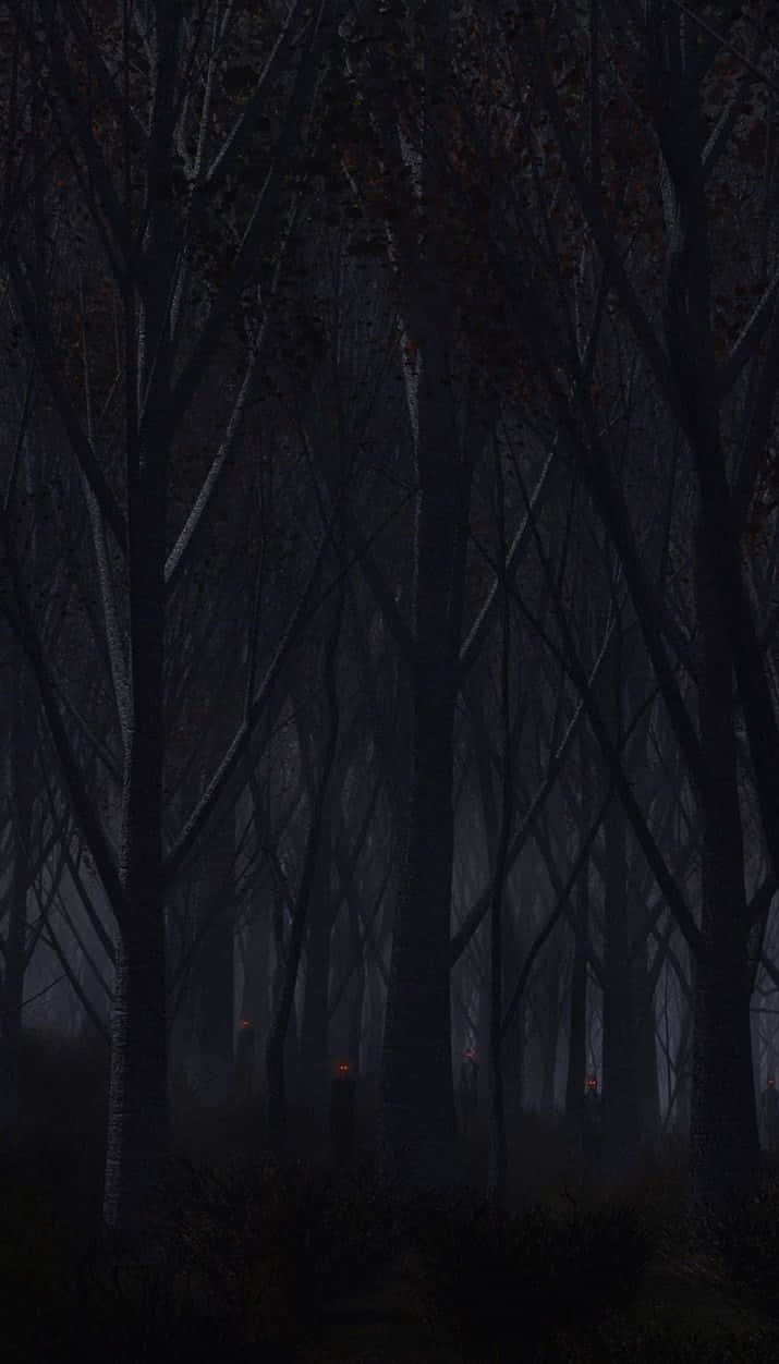 Haunted Forests 桌布 壁紙 — 一片黑暗霧氣瀰漫的森林，樹木光禿，遠處有微弱的紅色光芒。