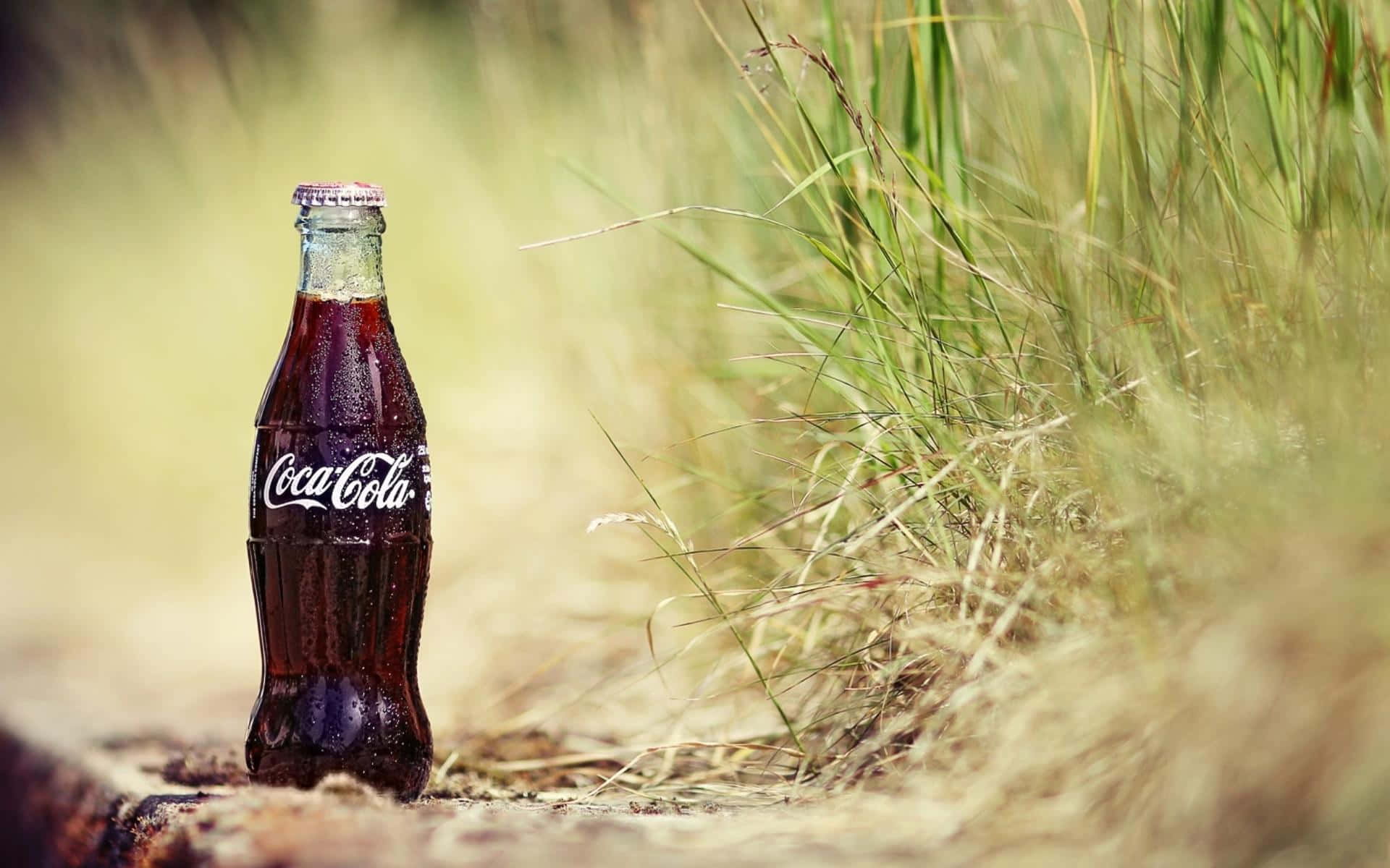 coca cola 桌布 壁紙 — 一瓶冰凍的可口可樂在陽光照耀的泥路上，旁邊有高高的金色草，凝結的水珠閃閃發光。