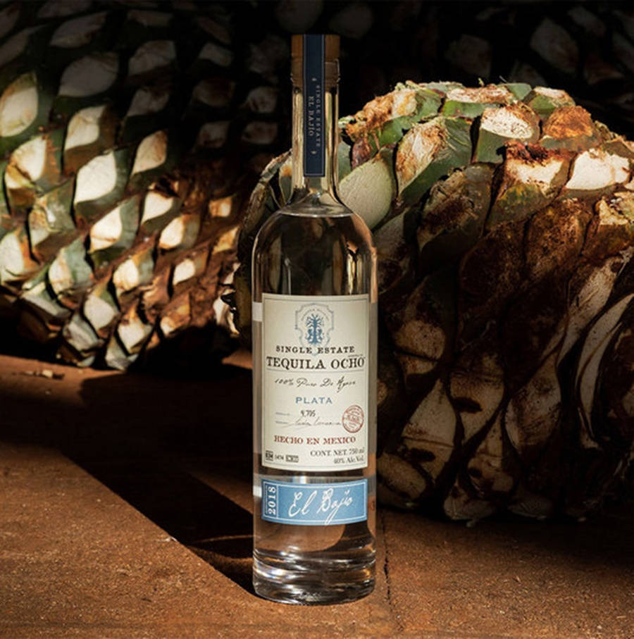 Tequila Ocho Silver Single Estate Plata 壁紙 — 一瓶清澈的Tequila Ocho Plata矗立在兩棵大型龍舌蘭植物之間，沐浴在溫暖的陽光下。