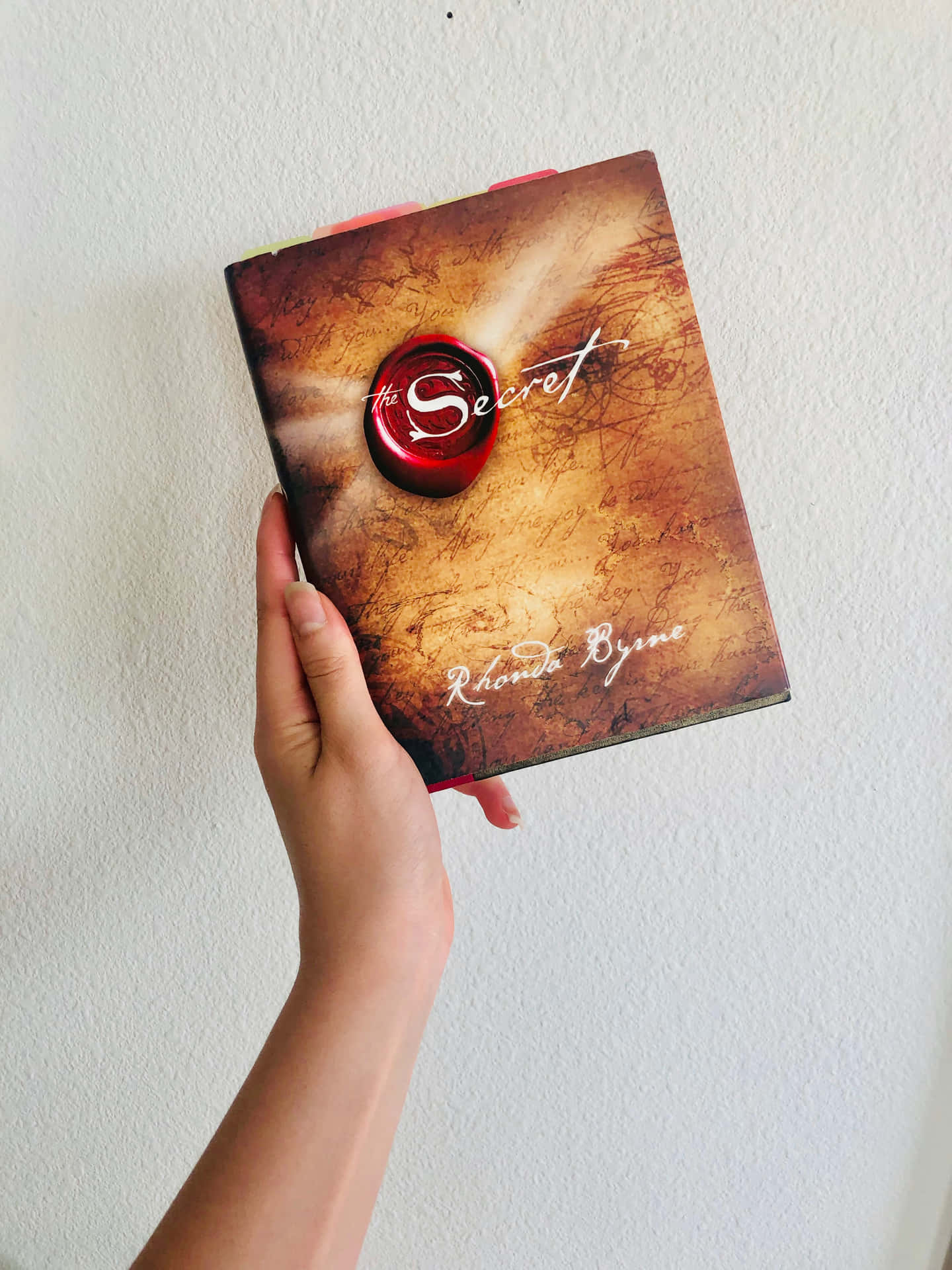 手拿著帶紅色火漆印章的《秘密》一書，靠著白牆。