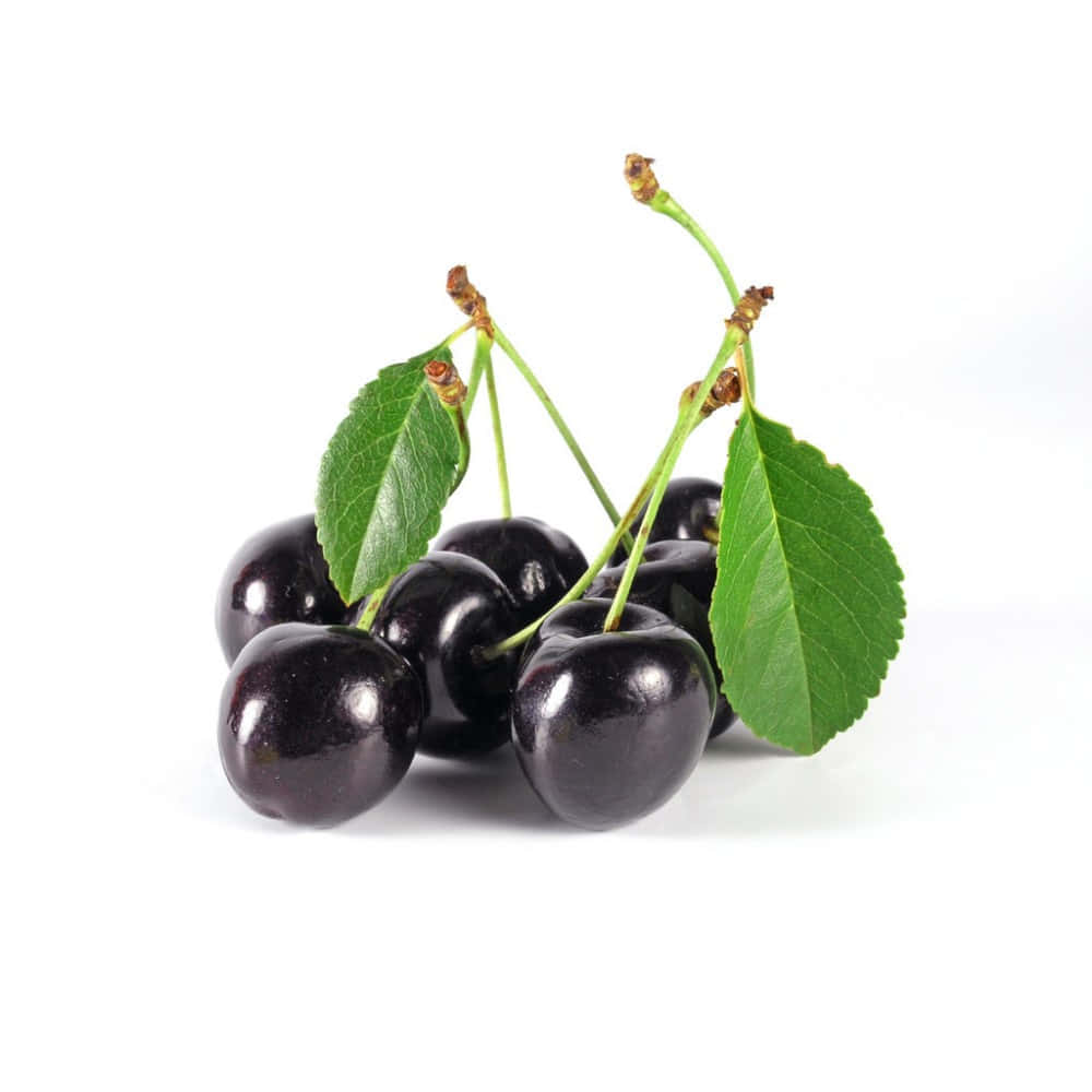 Black Cherry 桌布 壁紙 — 一簇光澤黑色車厘子，帶有綠色葉子和莖，襯以潔白背景。