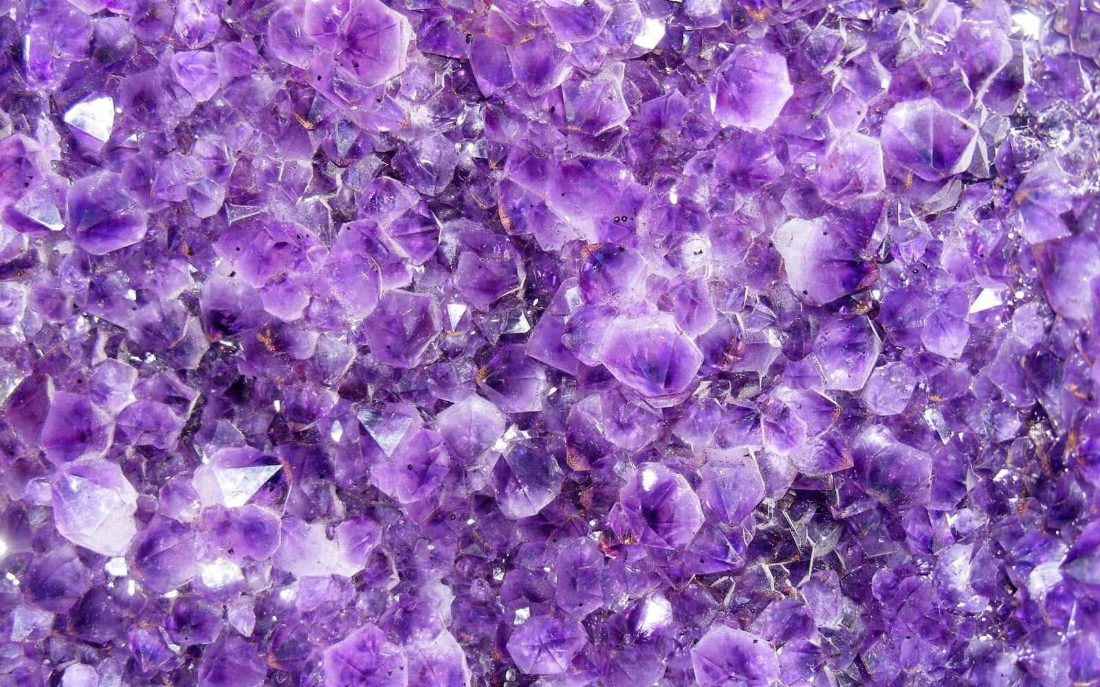 Amethyst 桌布 壁紙 — 一簇密集的閃亮紫色紫水晶晶體，具有銳利的刻面和深紫羅蘭色調。