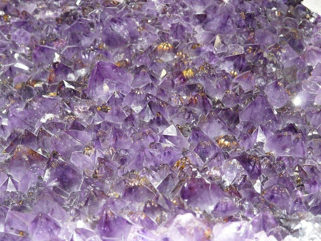 Amethyst 桌布 壁紙 — 一簇密集的閃亮紫色紫水晶晶體，帶有金色內含物和銳利的幾何刻面。