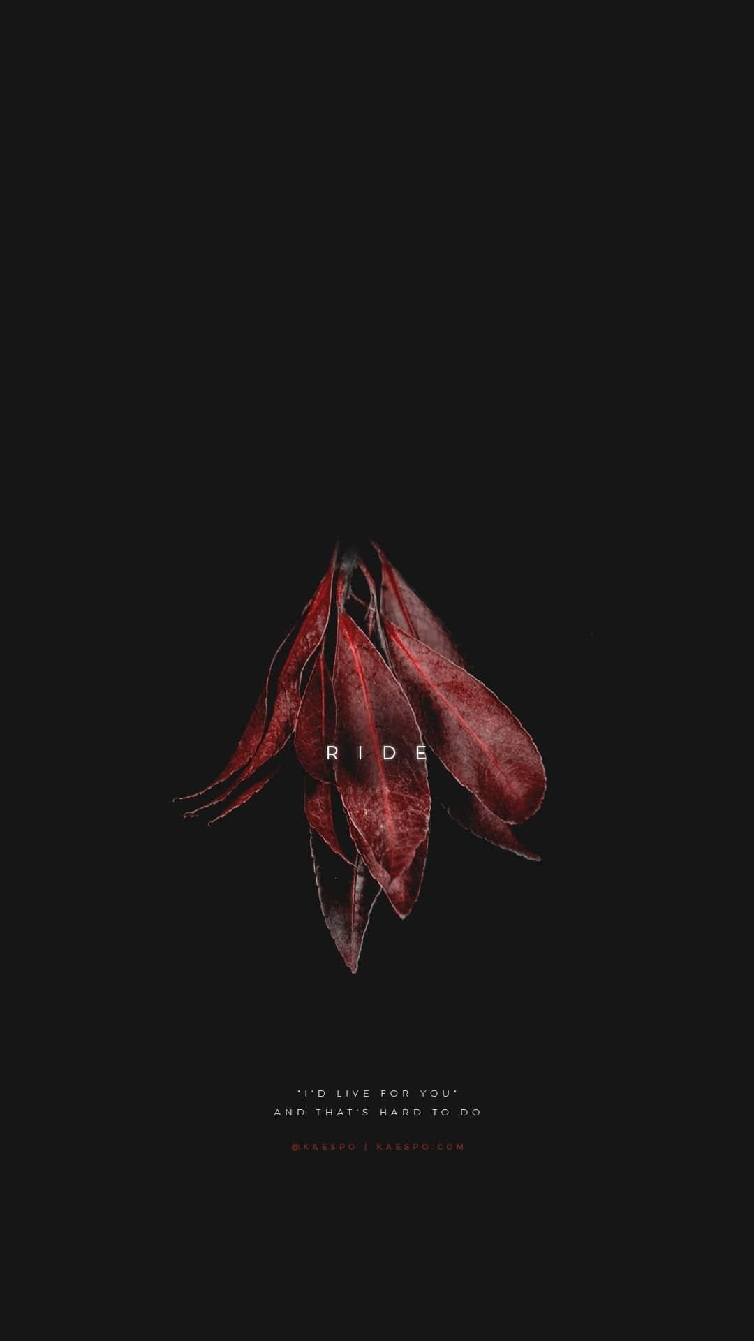 Dark Emo 桌布 壁紙 — 一簇深紅色乾燥樹葉懸掛在黑色背景上，中央有白色字體 'RIDE'。