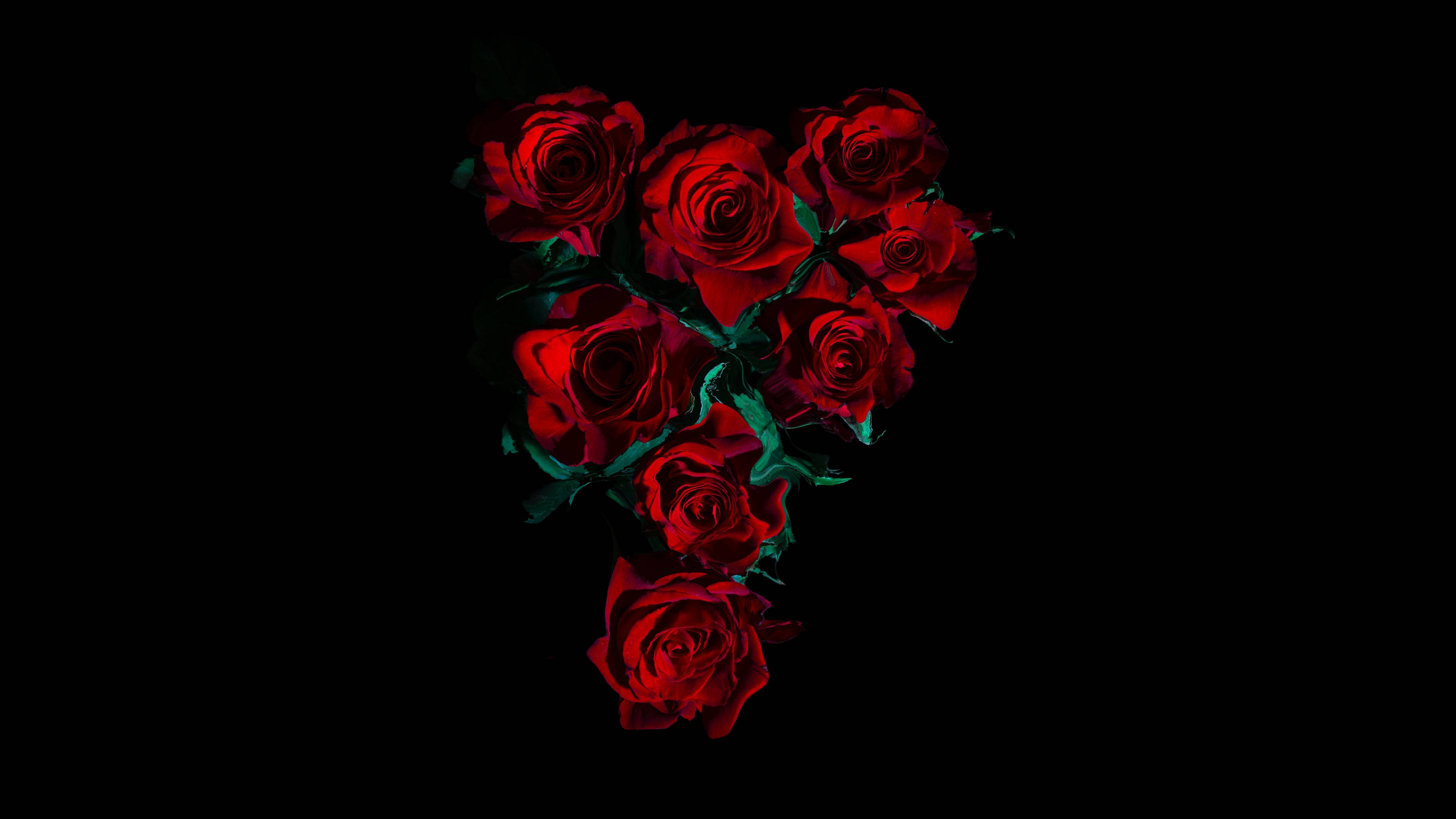Roses 桌布 壁紙 — 一簇深紅色玫瑰，帶有深綠色莖，在純黑色背景上形成心形。