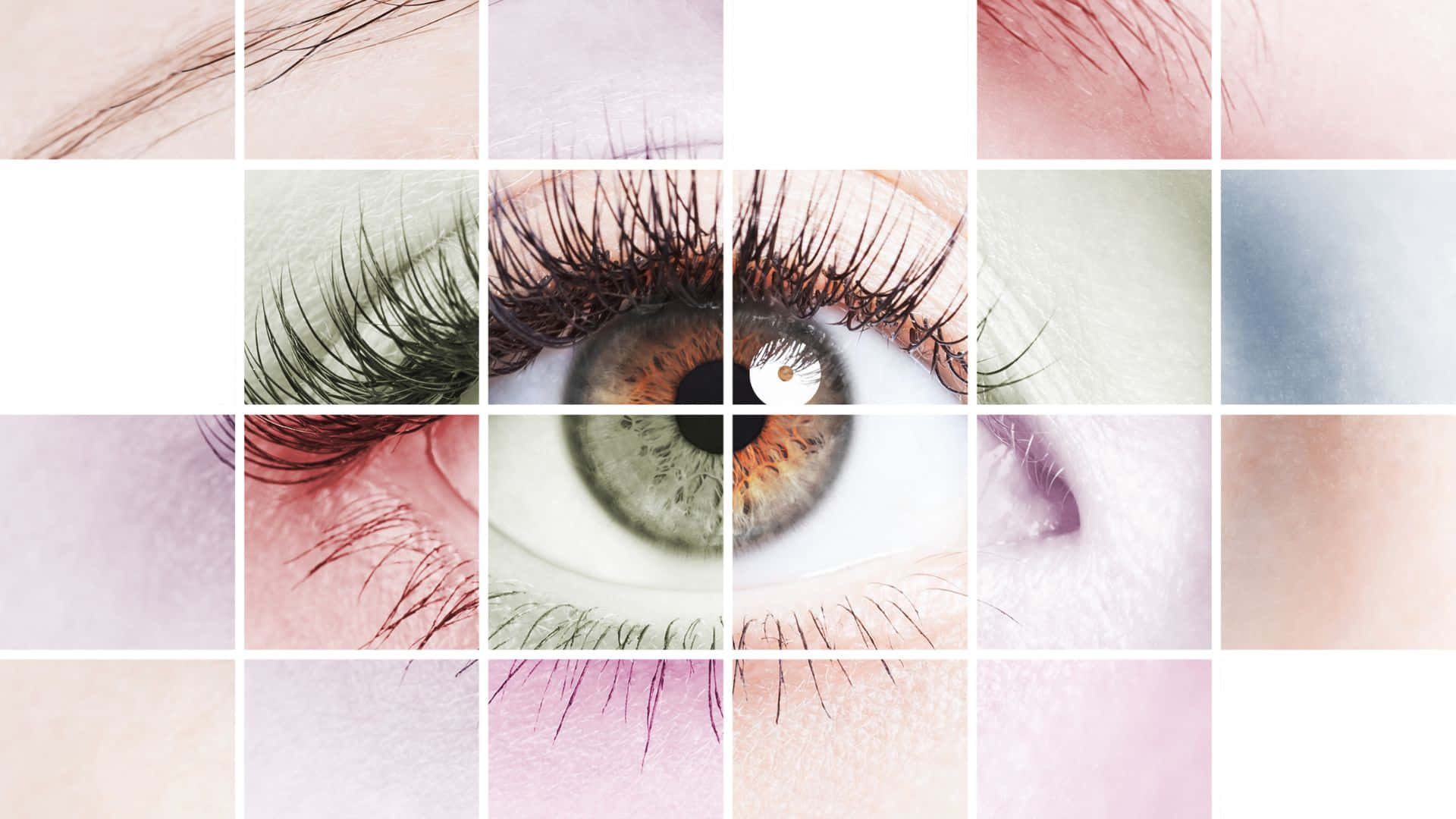 Eye 桌布 壁紙 — 一系列人類眼睛特寫的拼貼畫，展示多種虹膜、睫毛和膚色，採用柔和粉彩調。