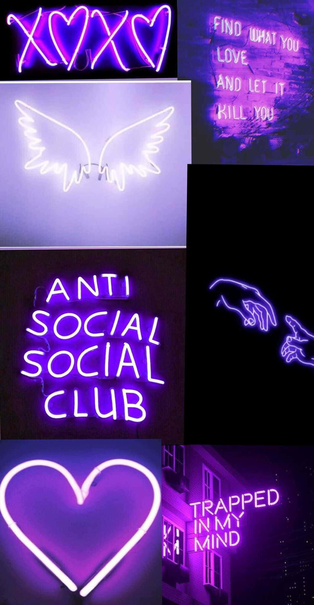 一系列帶有Anti Social Club字樣的霓虹燈牌 壁紙