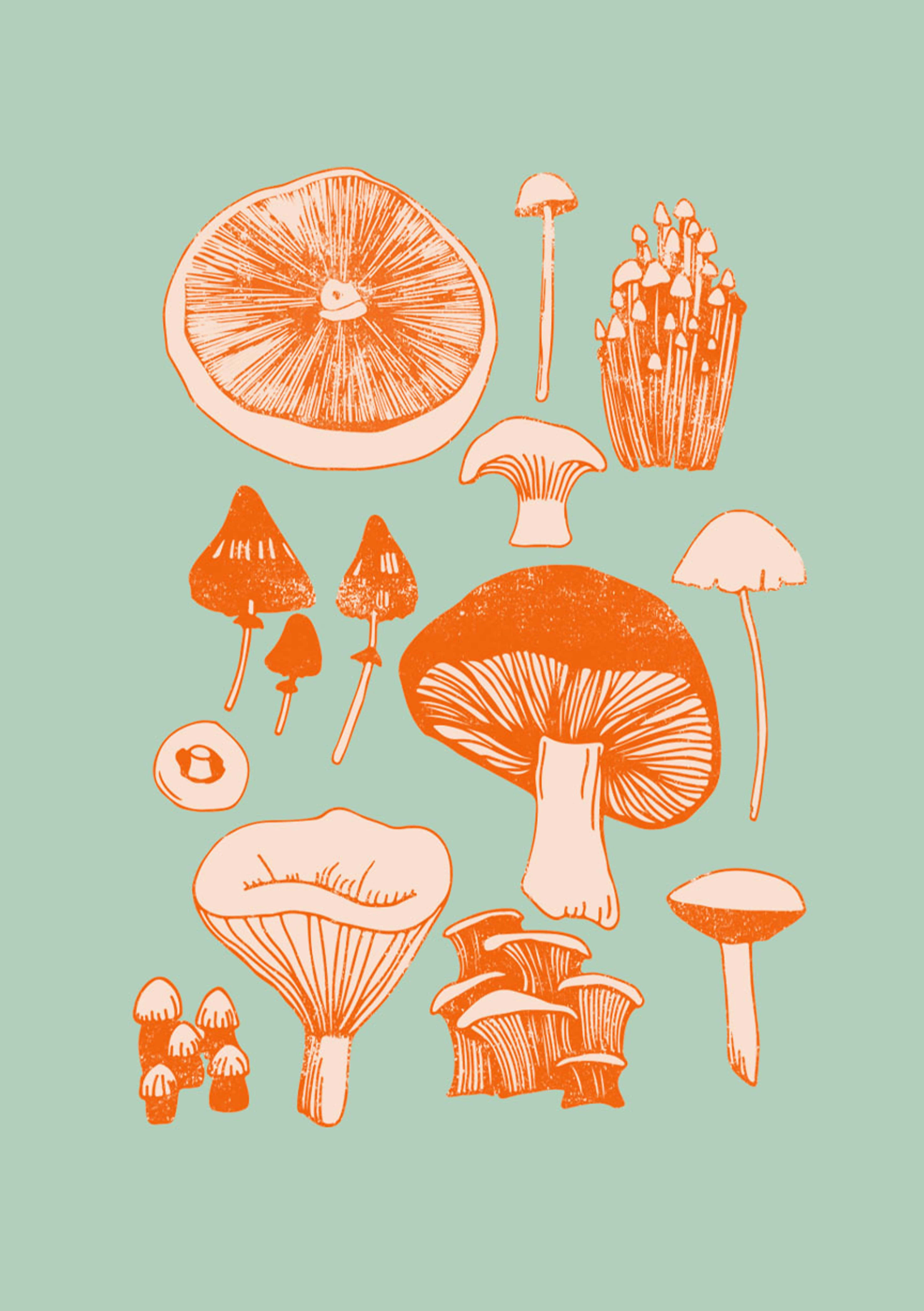 Kawaii Mushroom 桌布 壁紙 — 一系列風格化的橙色蘑菇和真菌，以線條藝術風格繪製在薄荷綠背景上。