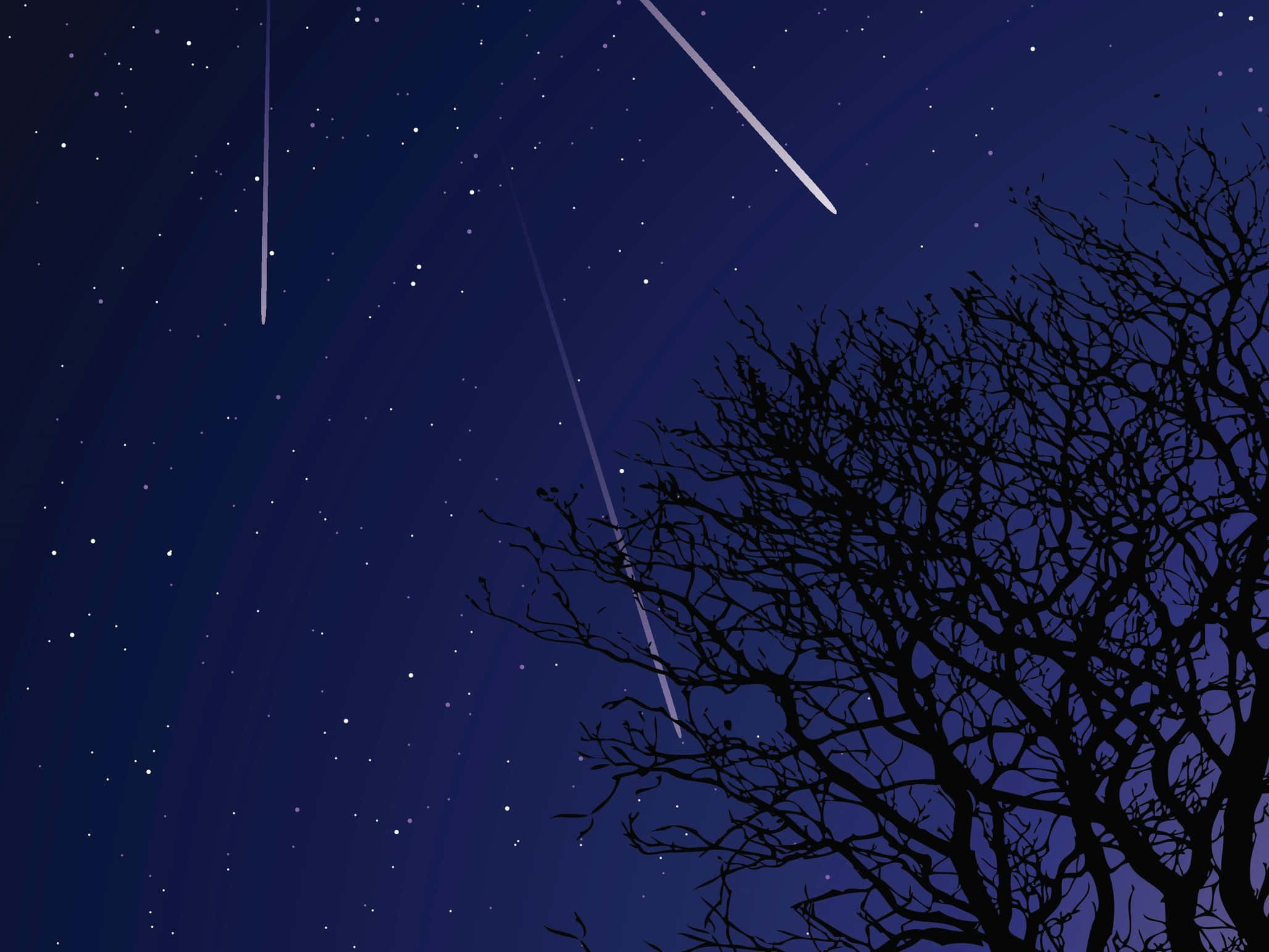 一組耀眼的流星劃過夜空 壁紙 — 光禿禿的樹枝剪影伸入深藍色的夜空，夜空中有流星劃過和閃爍的星星。