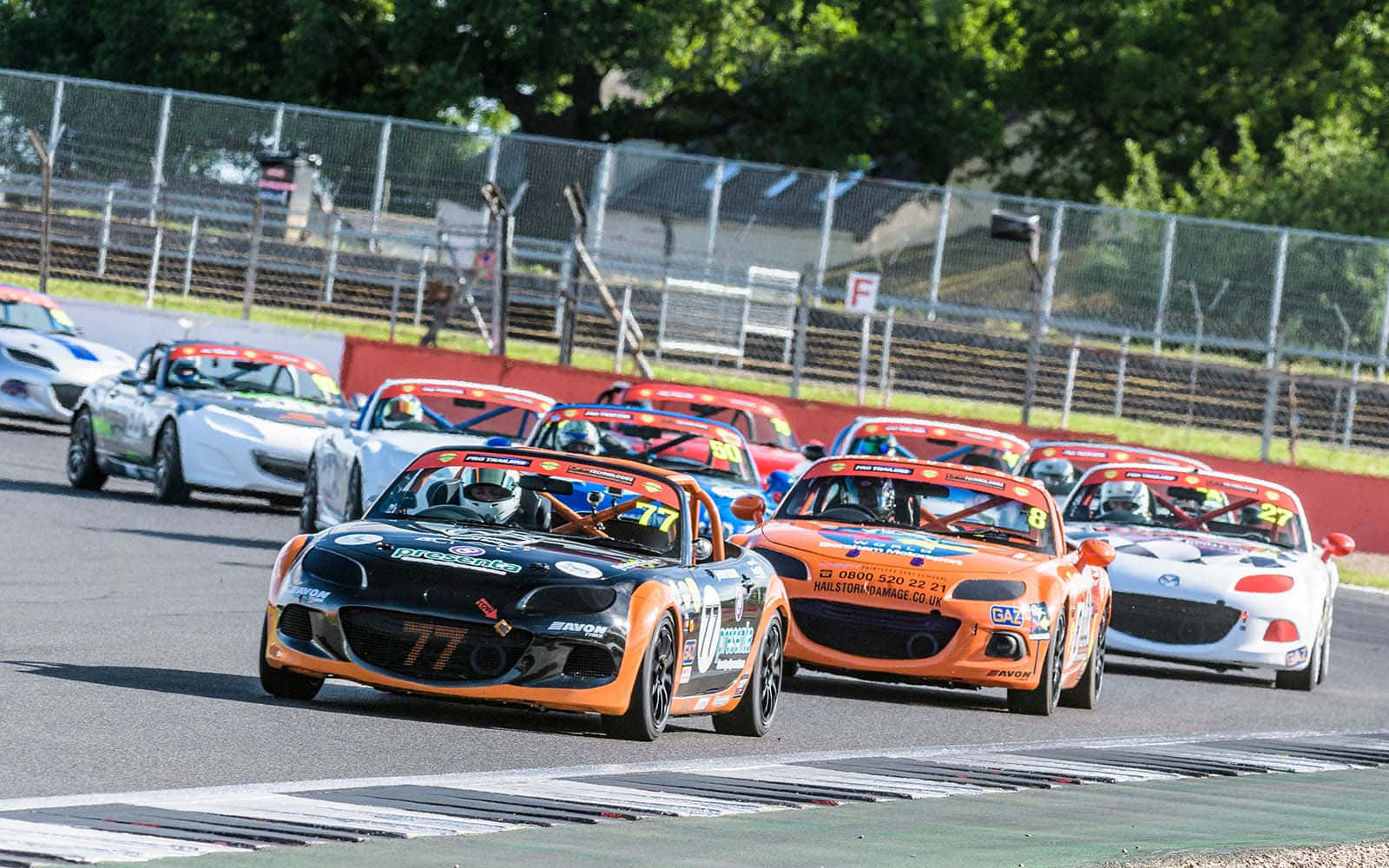 Car Racing 桌布 壁紙 — 一組色彩繽紛的賽車在陽光照耀的賽道上緊密飛馳，背景有綠樹和圍欄。