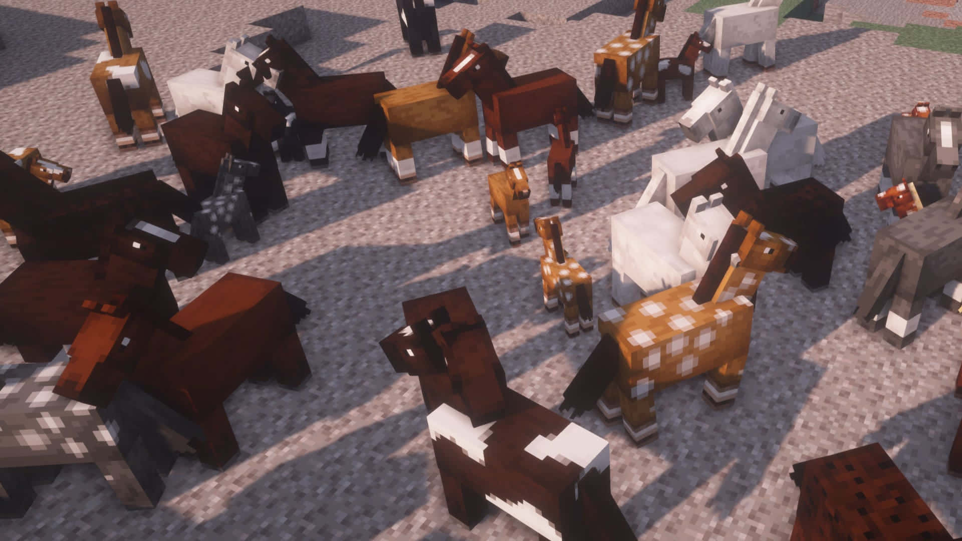 Minecraft Horses 桌布 壁紙 — 一群像素化的 Minecraft 馬匹，毛色圖案各異，站在礫石表面上，沐浴在明亮的陽光下。