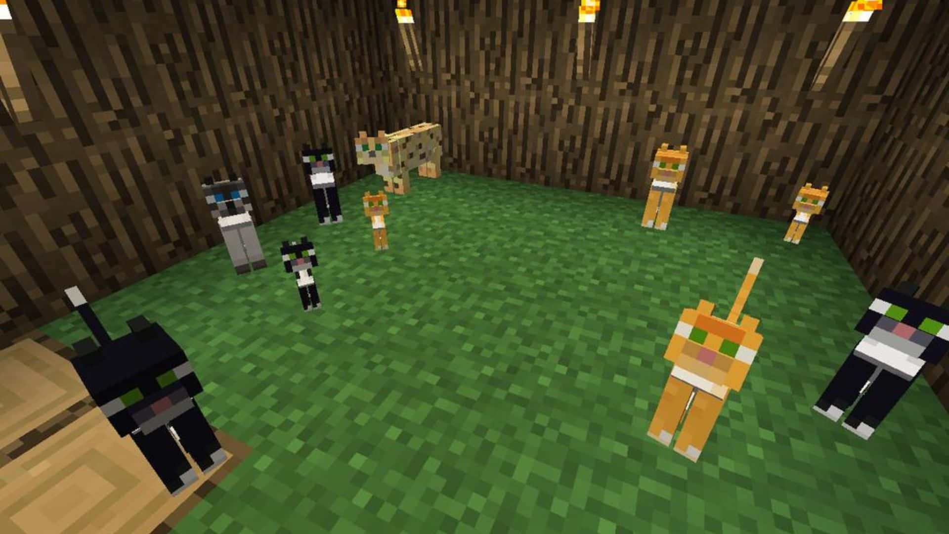 Minecraft Ocelot 桌布 壁紙 — 一群像素化貓咪在木製Minecraft房間中，掛著燈籠，地板是綠色草地。