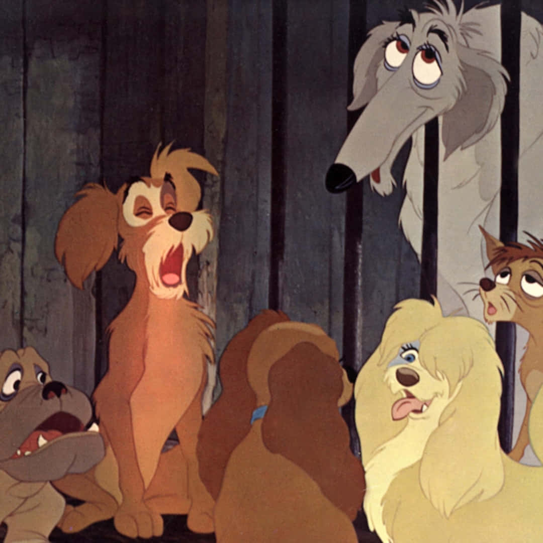 lady and the tramp 桌布 壁紙 — 一群動畫狗和一隻貓從昏暗狗舍的木欄杆後方睜大眼睛向上看。