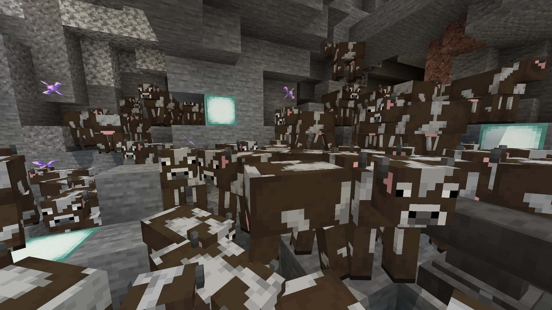 Minecraft Cow 桌布 壁紙 — 一群密集的像素牛填滿了一個光線昏暗的Minecraft石洞，內有發光方塊和紫色蝴蝶。