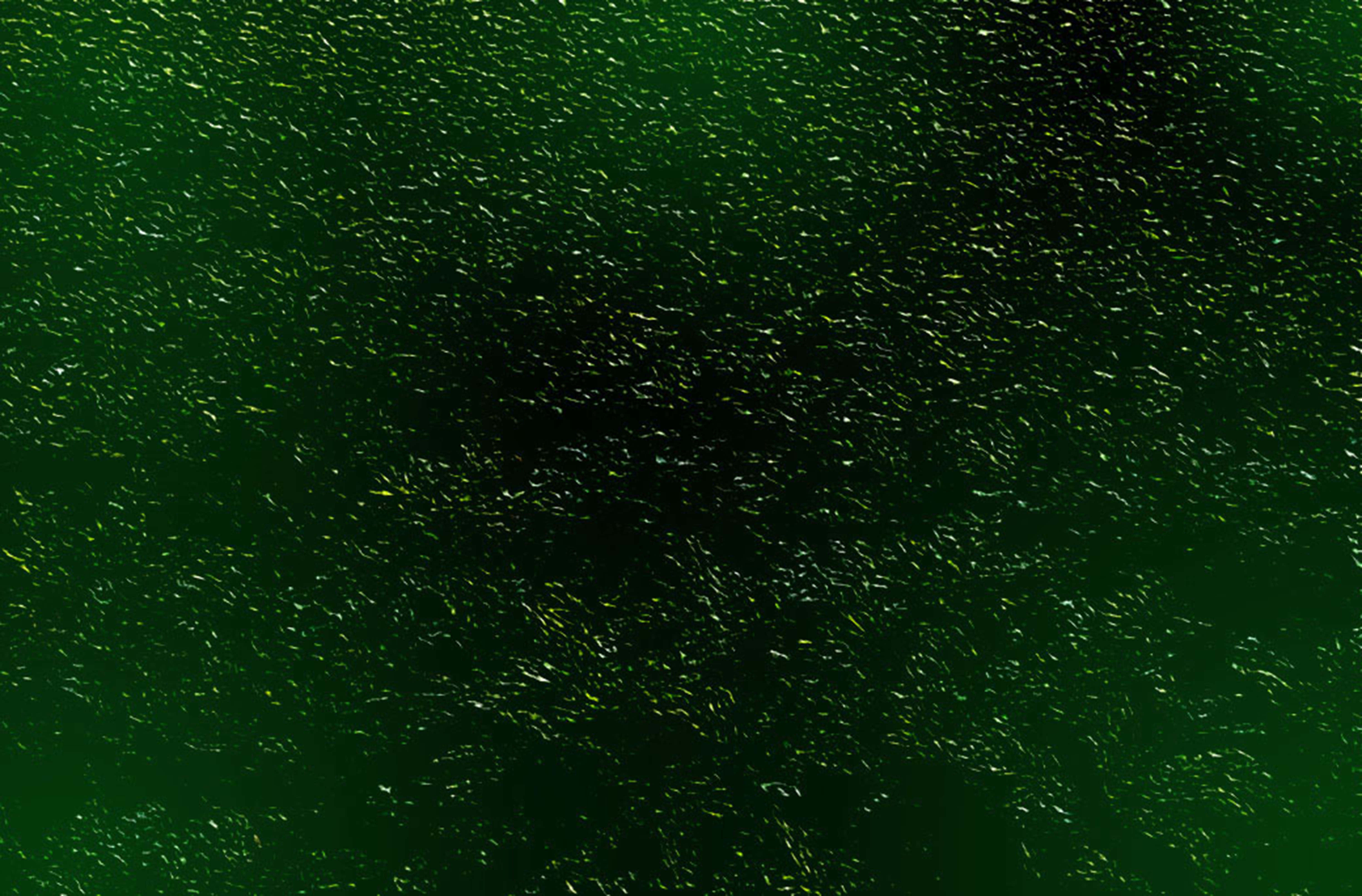 Black And Green 桌布 壁紙 — 一群密集的小魚在深綠色的水下水流中游動，形成旋轉的有機圖案。