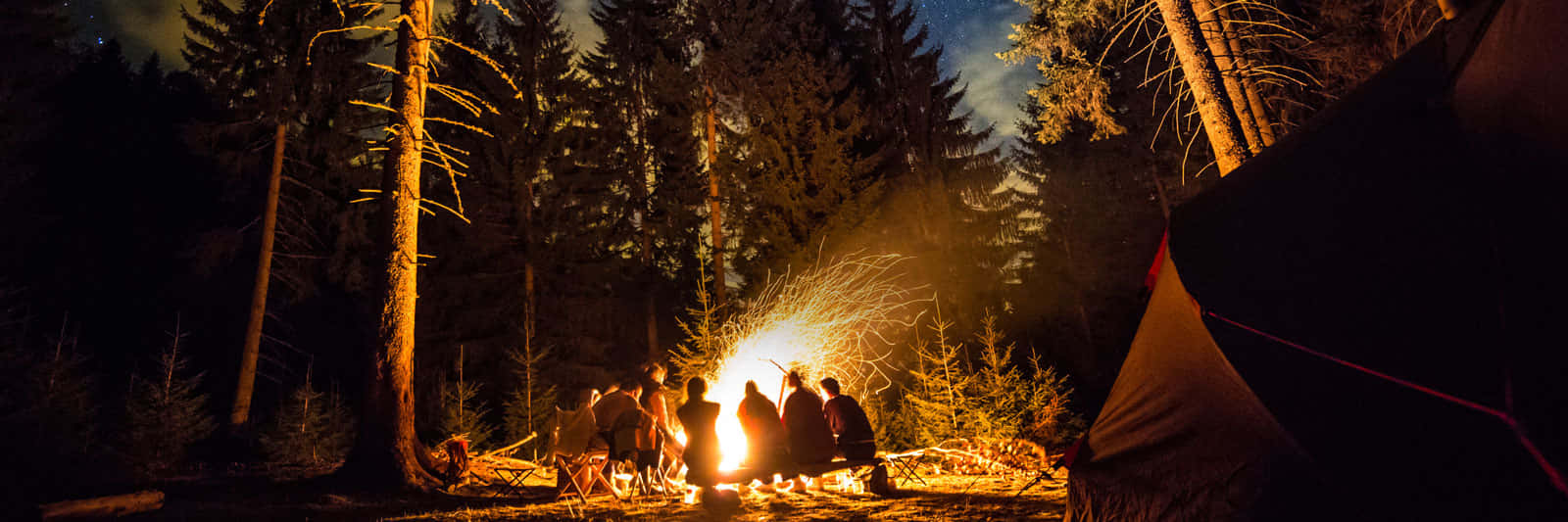 Fall Camping 桌布 壁紙 — 一群朋友聚集在茂密森林中，在繁星點點的夜空下圍著熊熊營火。