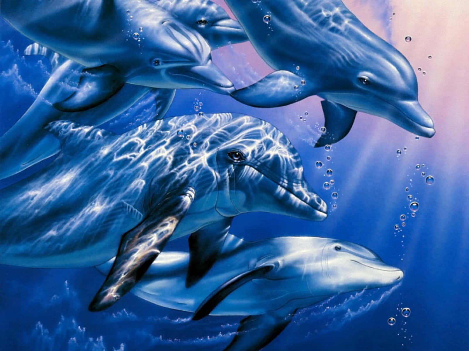 海豚在藍色海洋中游泳，陽光透過海水照射下來。 — 邁阿密海豚 GIF 壁紙