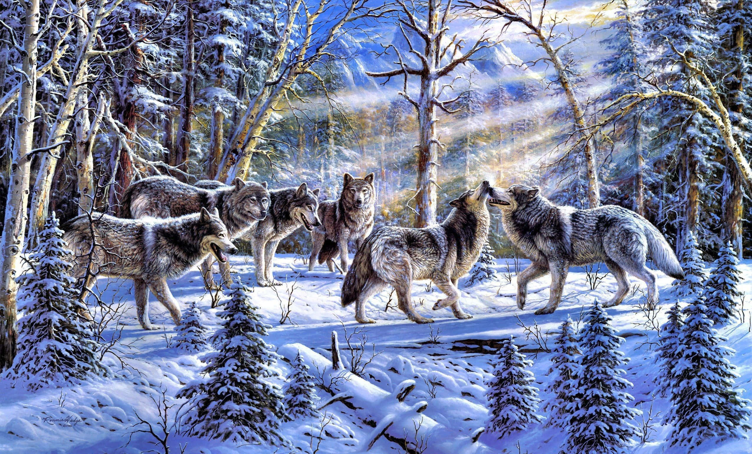 Winter Painting 桌布 壁紙 — 一群狼在黎明時分的雪地森林中聚集，背景是霧氣繚繞的山巒。