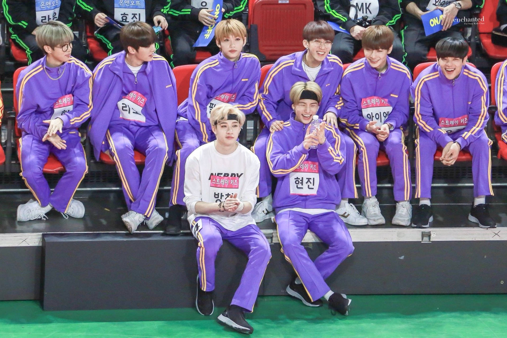 穿著紫色運動服的K-pop偶像在體育館座位上大笑。 — Stray kids GIF 壁紙