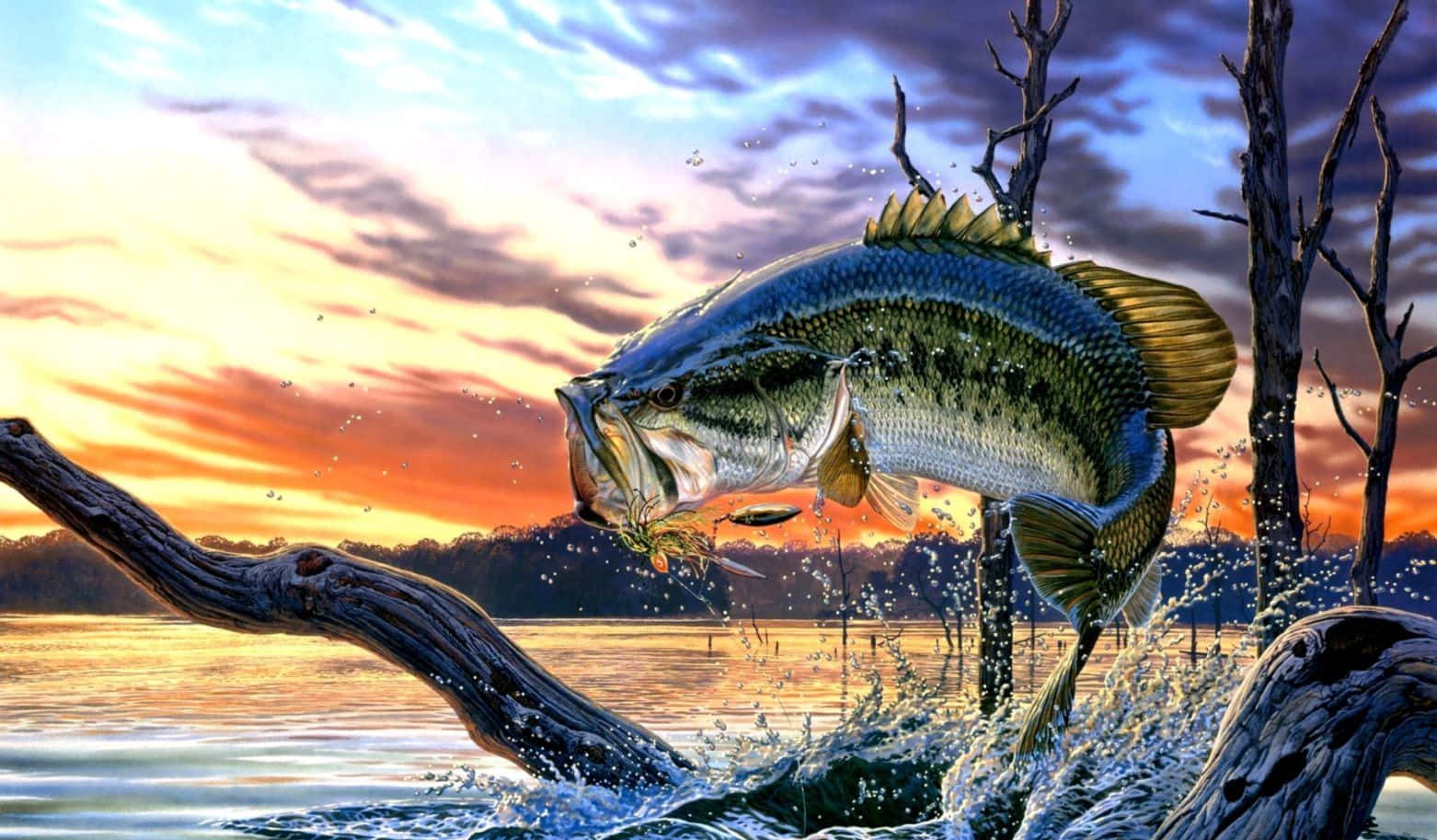 一群美麗的高清魚在清澈湛藍的海洋中悠游 壁紙 — 一條大鱸魚在日落時從寧靜的湖泊中躍出，背景有飛濺的水花和光禿的樹木。