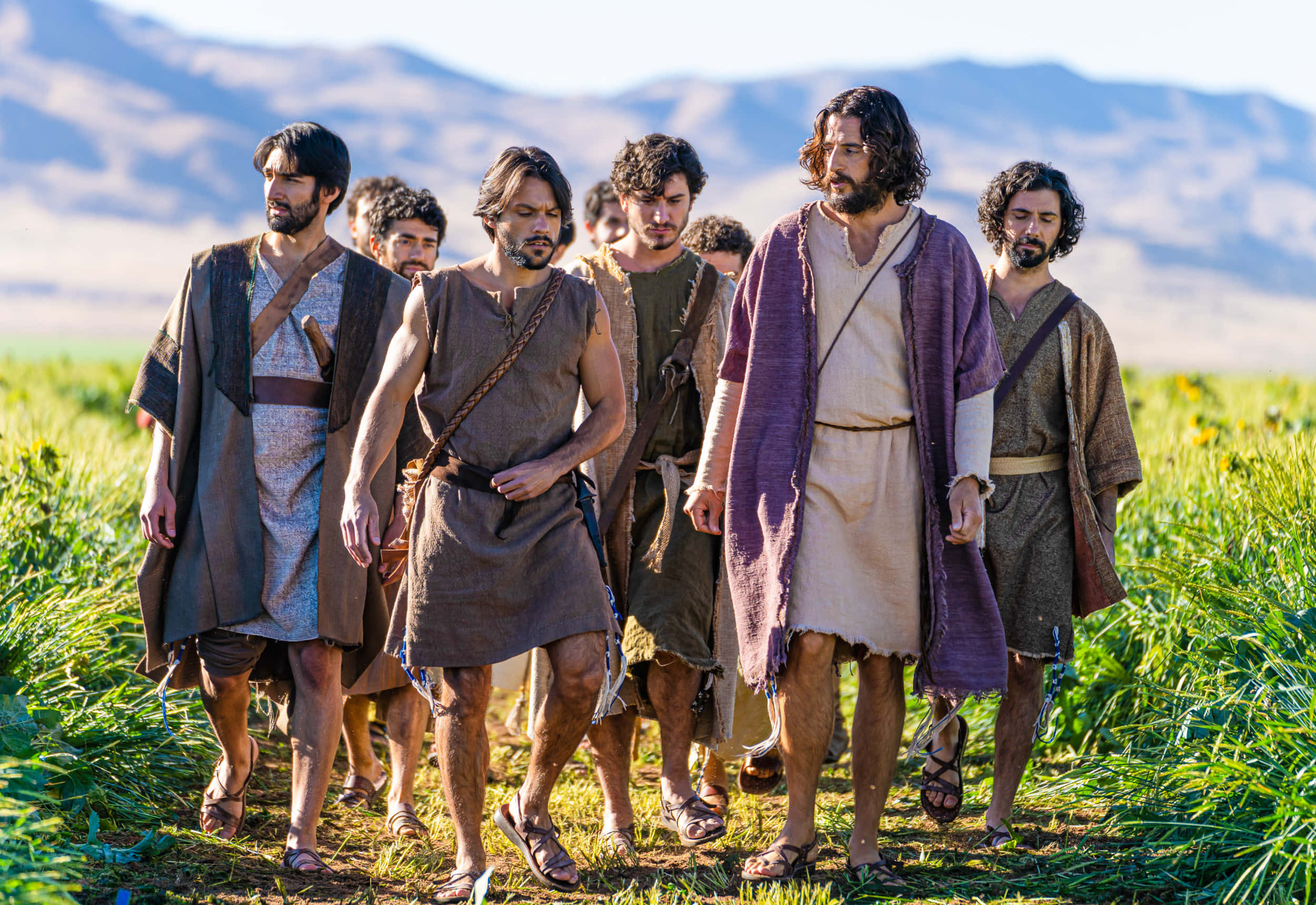 Jesus Disciples 桌布 壁紙 — 一群身穿古袍的男子在陽光照耀的田野中行走，背景是山脈。